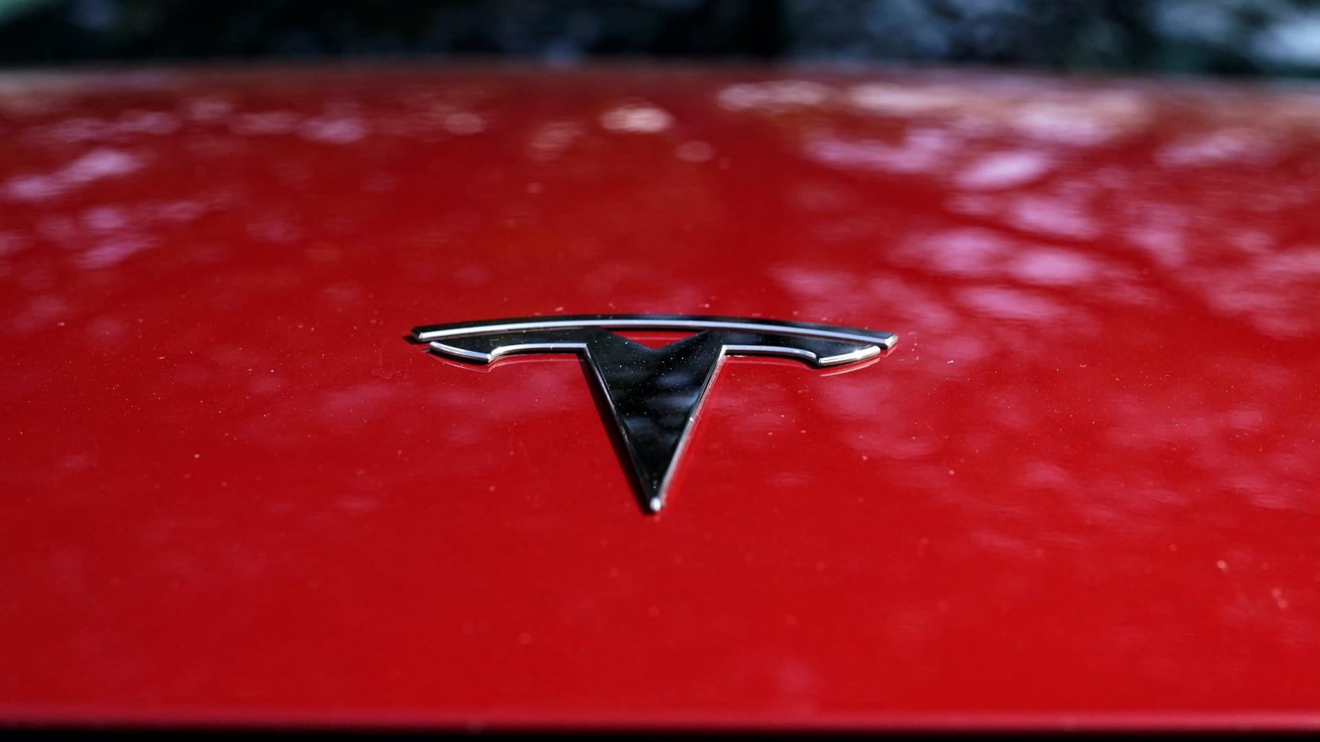 Tesla recall 2024 These vehicles with glitch may affect backup camera