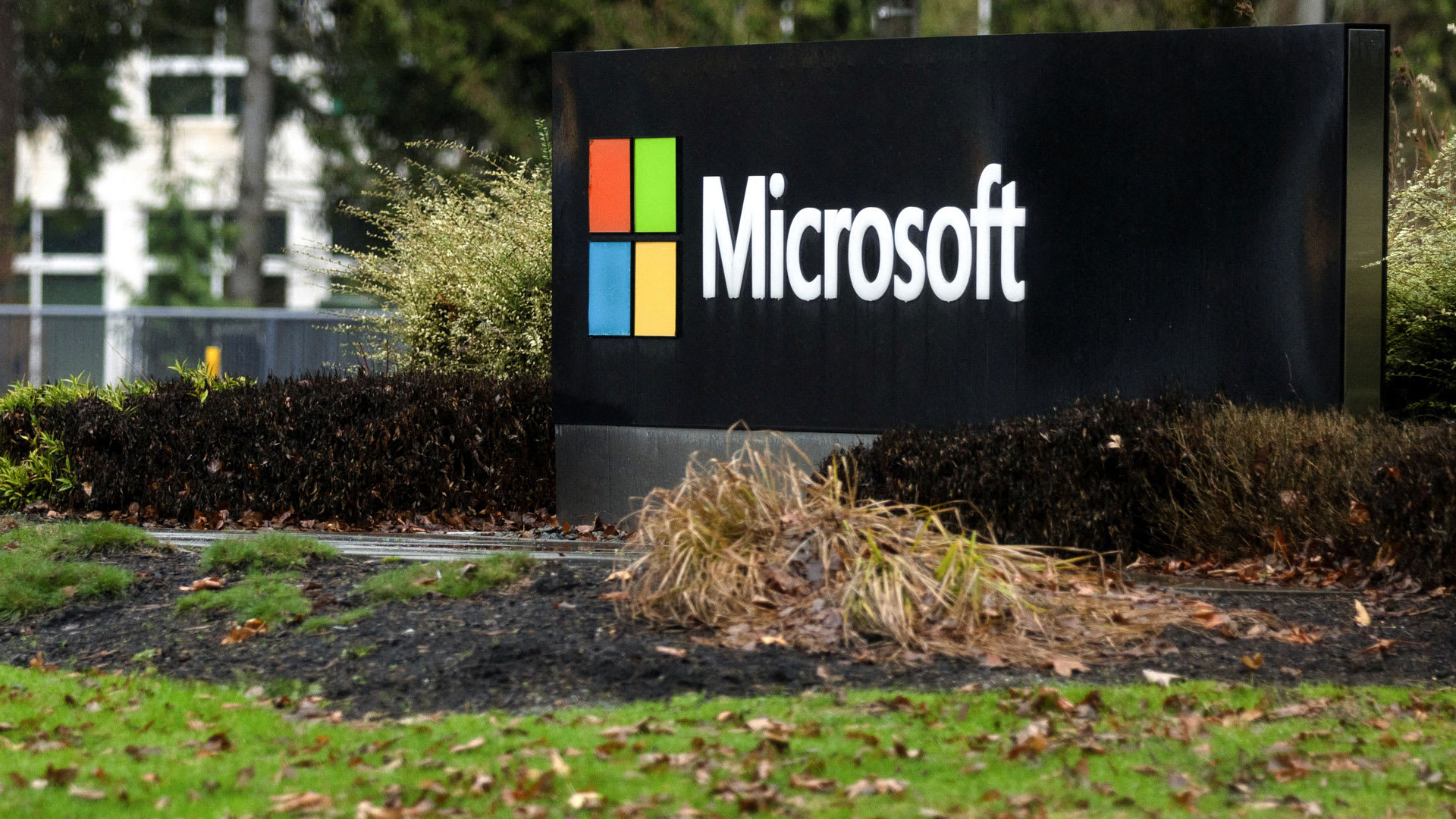 Microsoft Beats Quarterly Revenue Estimates Thanks To AI Interest