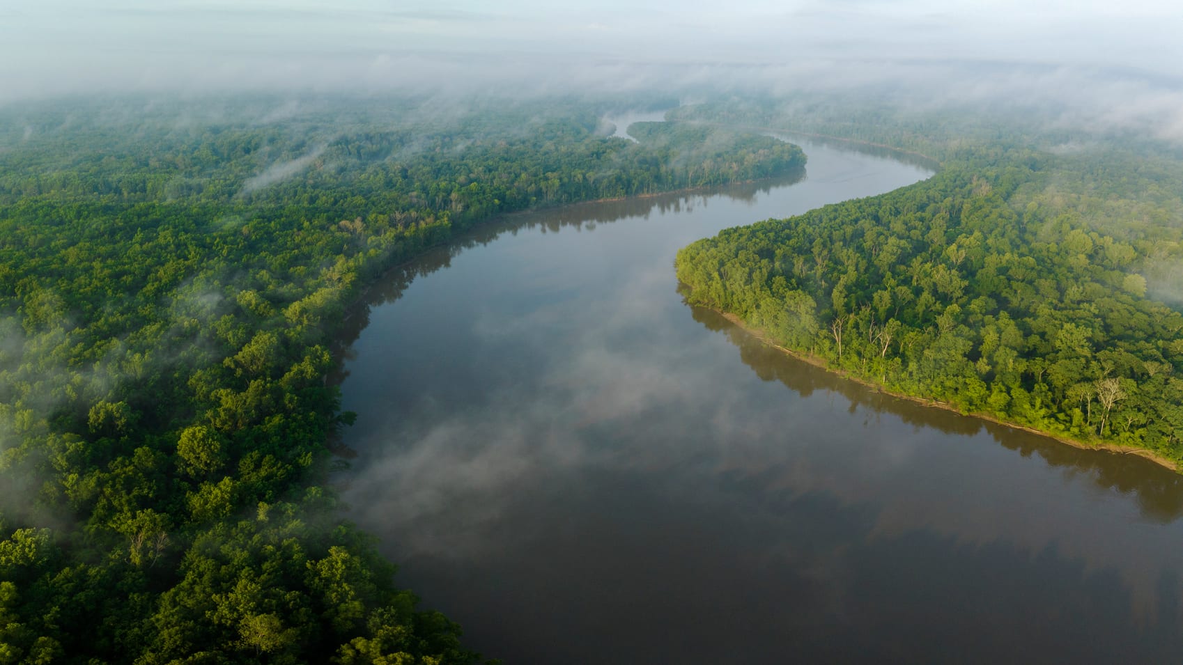 Holdfast Collective de la Patagonia dona 5,2 millones de dólares para preservar la ‘Amazonia de Estados Unidos’