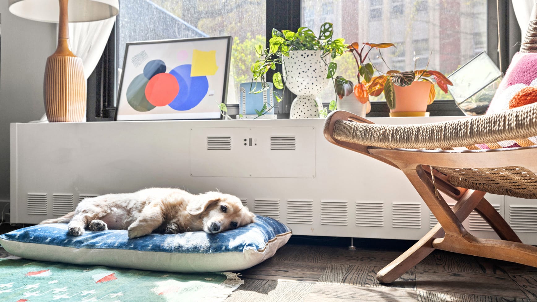 Kelvin's clever hack can make your 100-year-old radiator more efficient