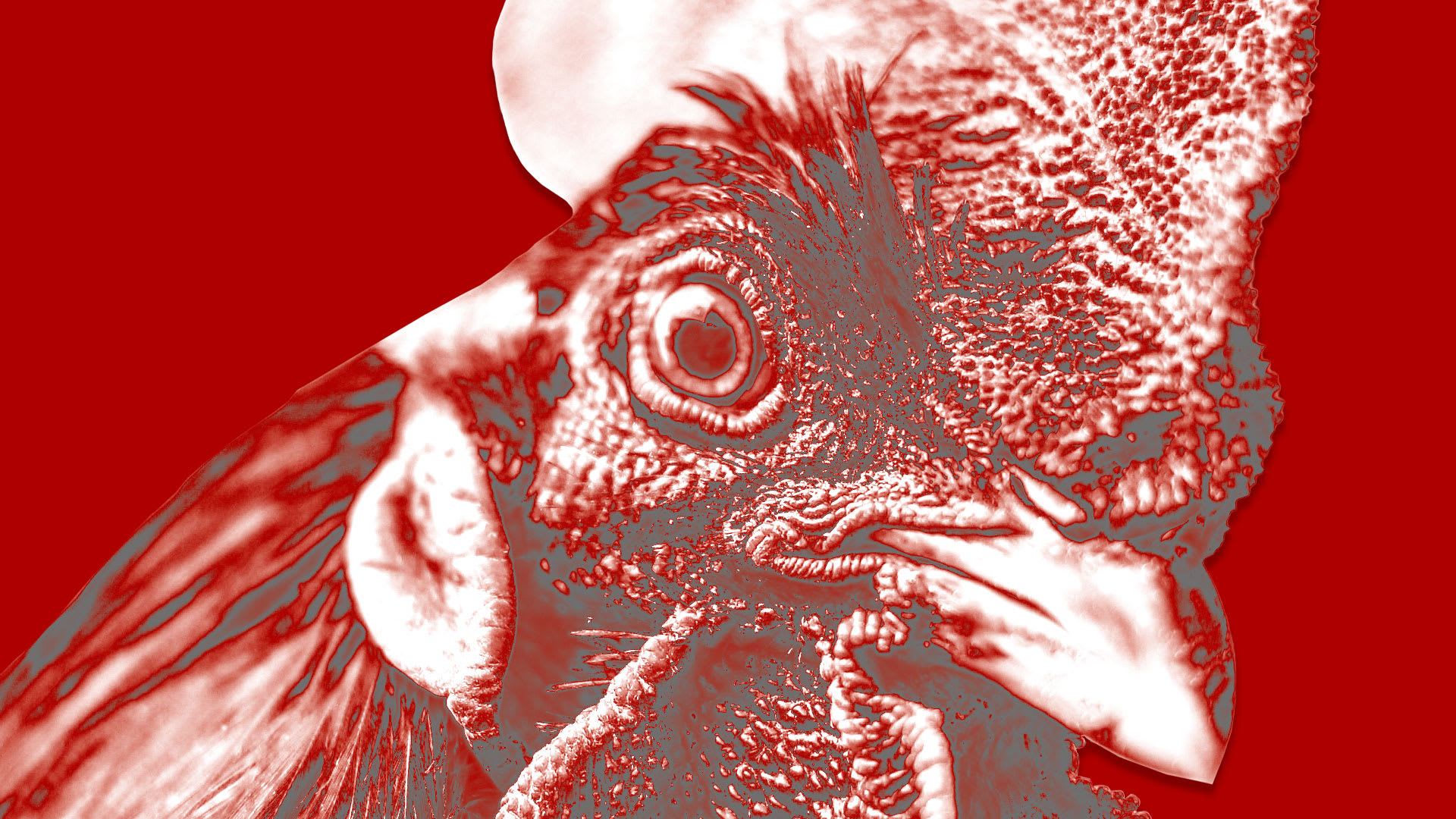 Chick-fil-A faces criticism after backtracking on chicken antibiotics