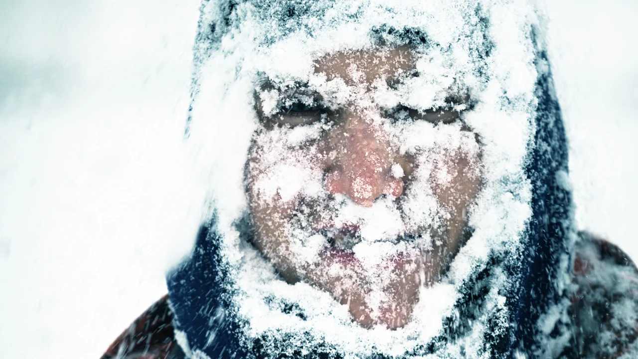 Where Is Spring And Why Is It Still So Goddamned Cold? - Fast Company