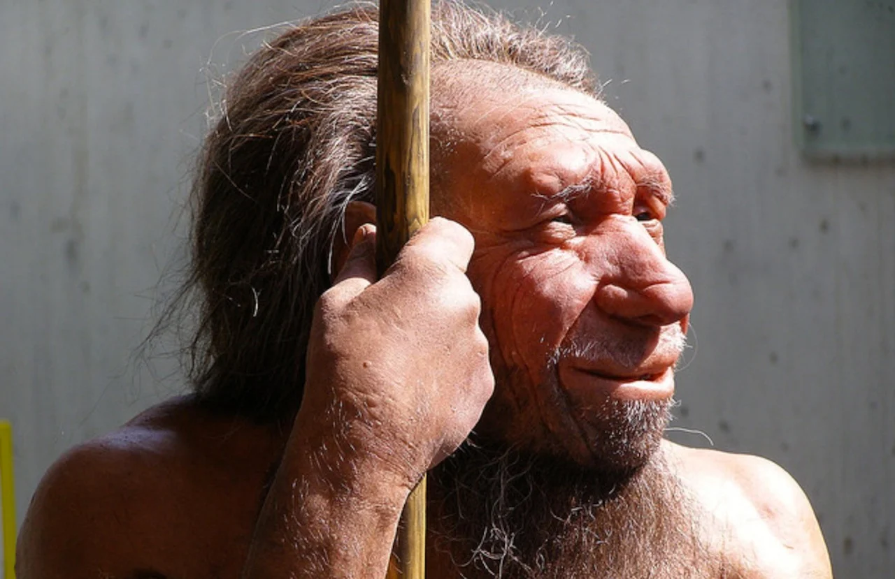 neanderthal - Fast Company