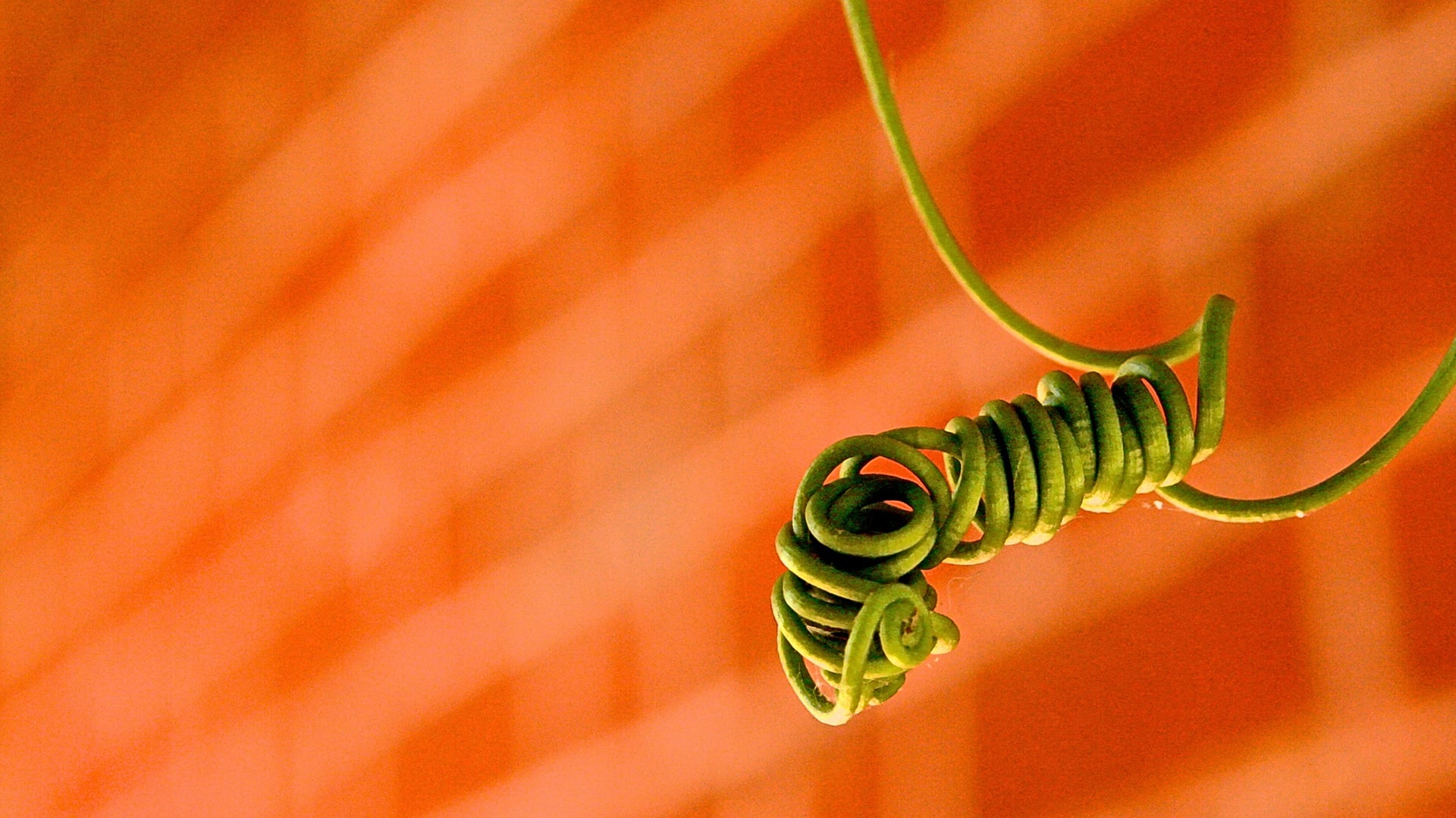 Creative New Ways To Land Your Dream Job Fast Company Creative New Ways To Land Your Dream Job Fast Company