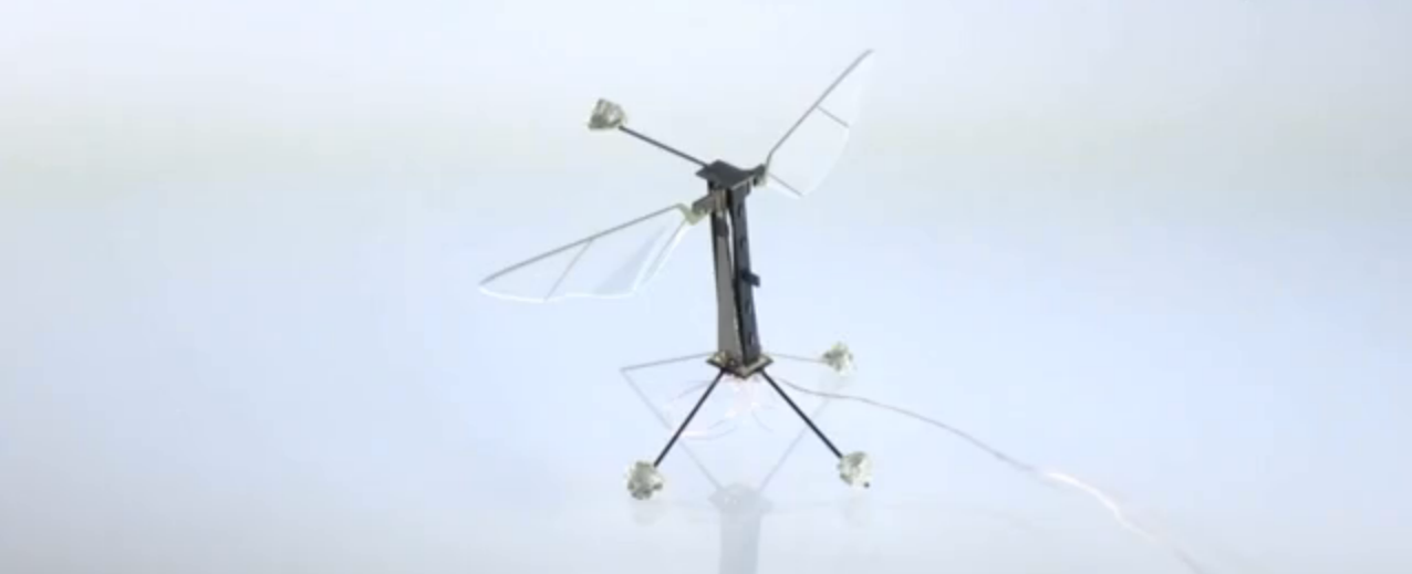 World's Smallest Flying Robot Finally Takes Off - Fast Company