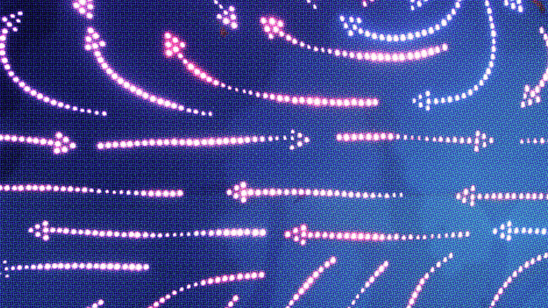 fan porn - Fast Company