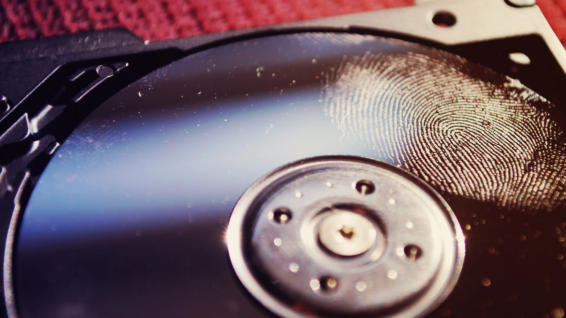 The Billion-Year Hard Drive