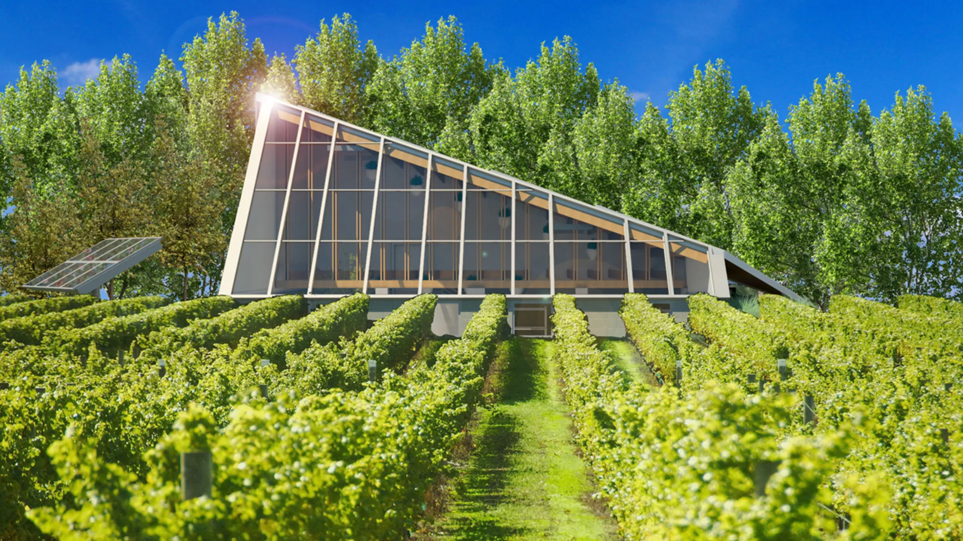 Turning A Vacant Cleveland House Into A Fancy Farm