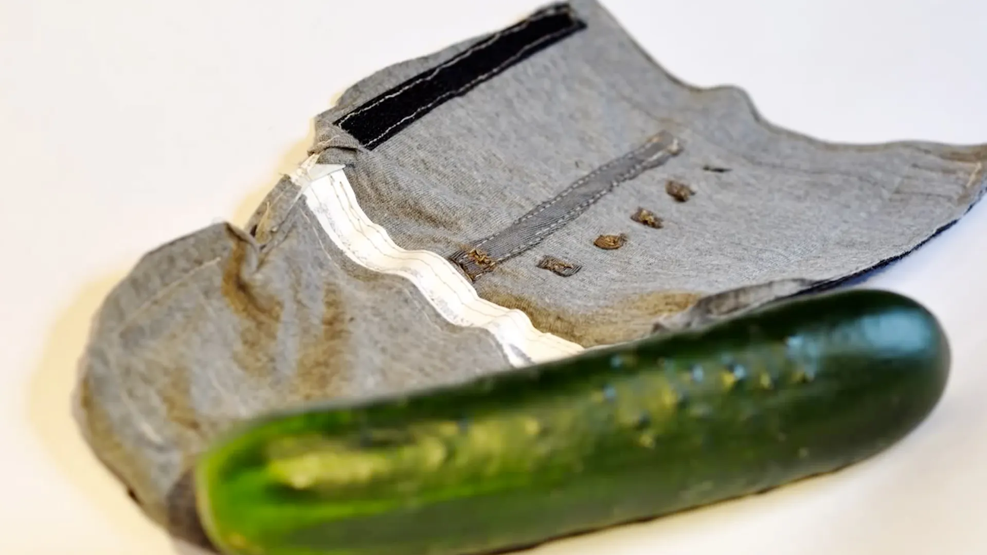 A World Of Open Source Sex Toys, Built By Three Georgia Tech Students