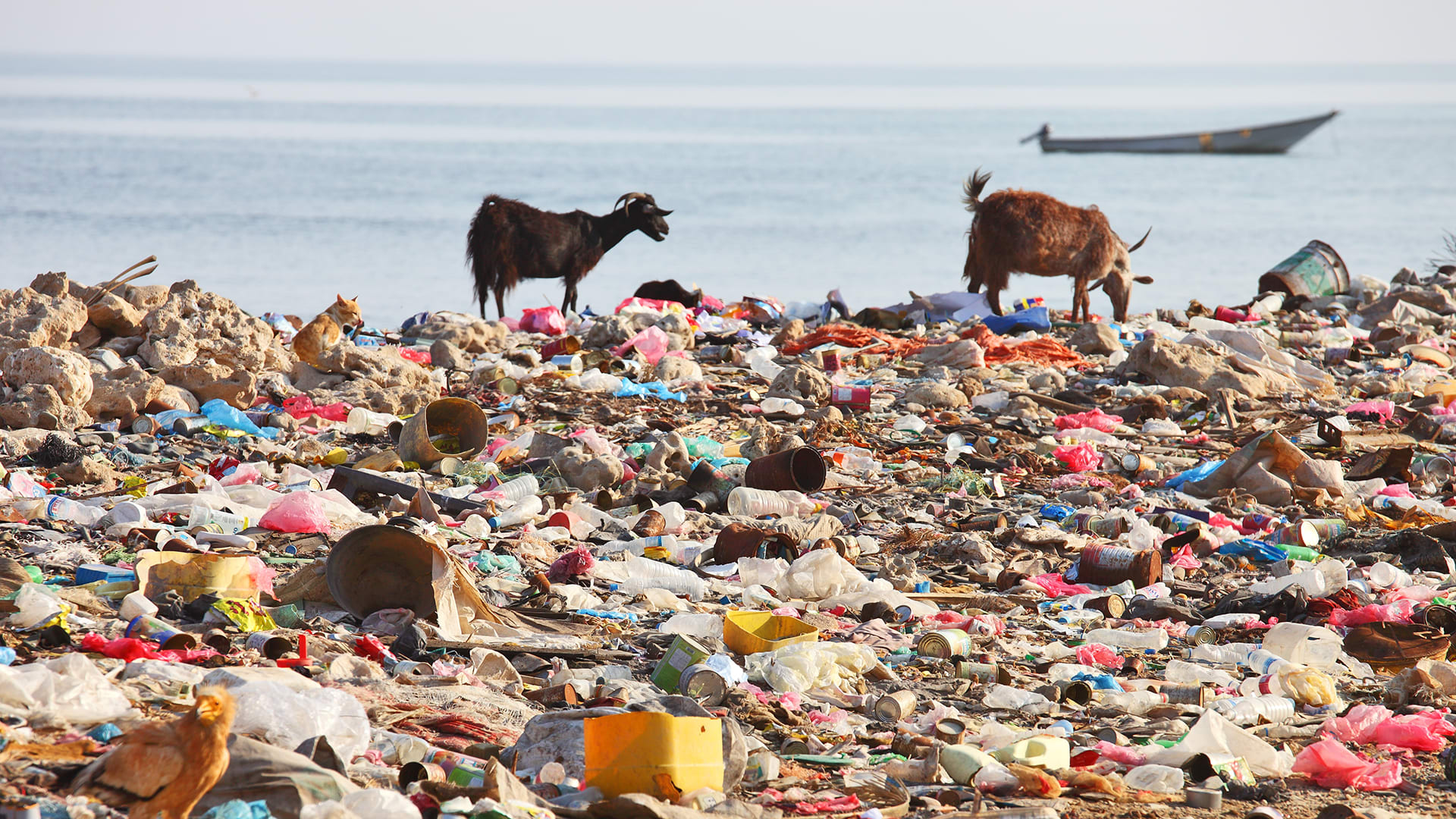 Before You Swim, Check Out This Map Of The Cleanest And Dirtiest Beaches In The U.S.