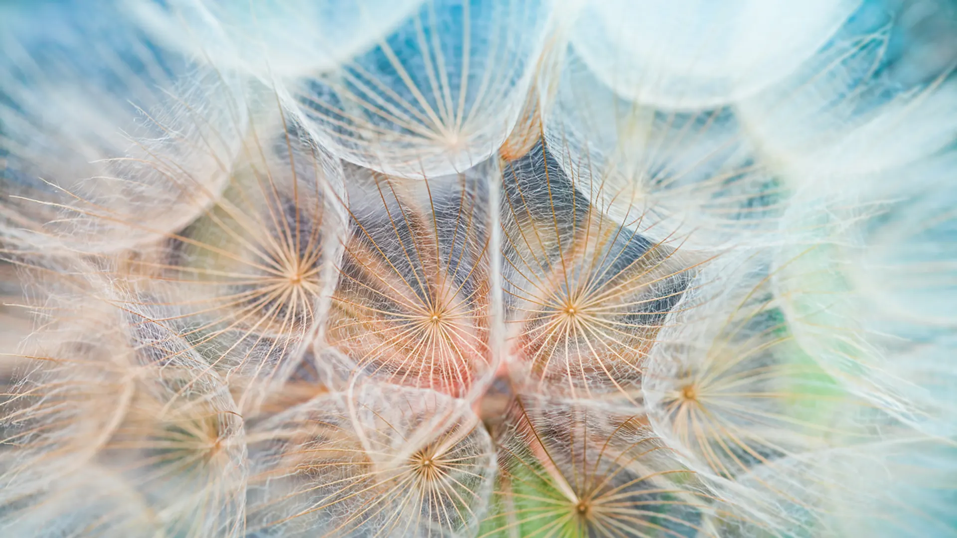 Now That I’ve Created Something, How Do I Spread It?