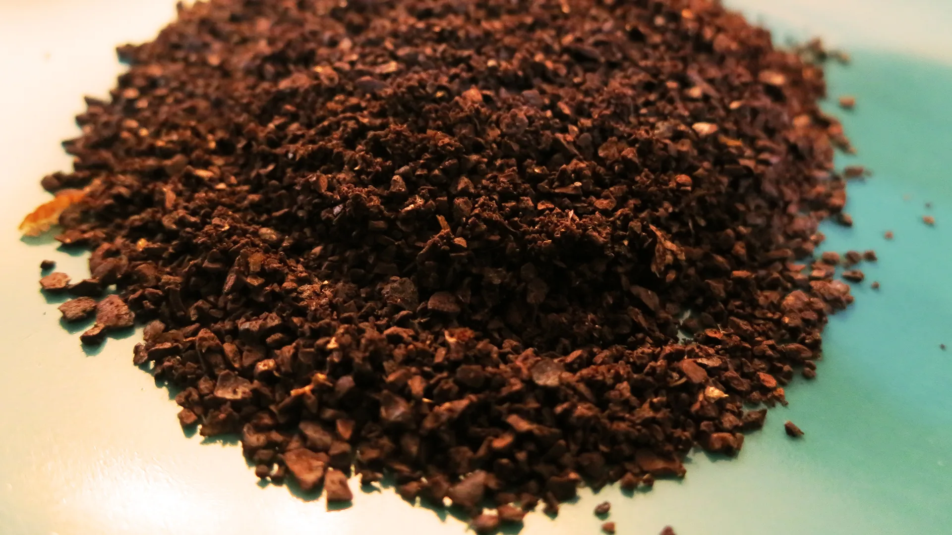 Turning Waste Coffee Grounds Into A Different Kind Of Fuel: Powering Your Car