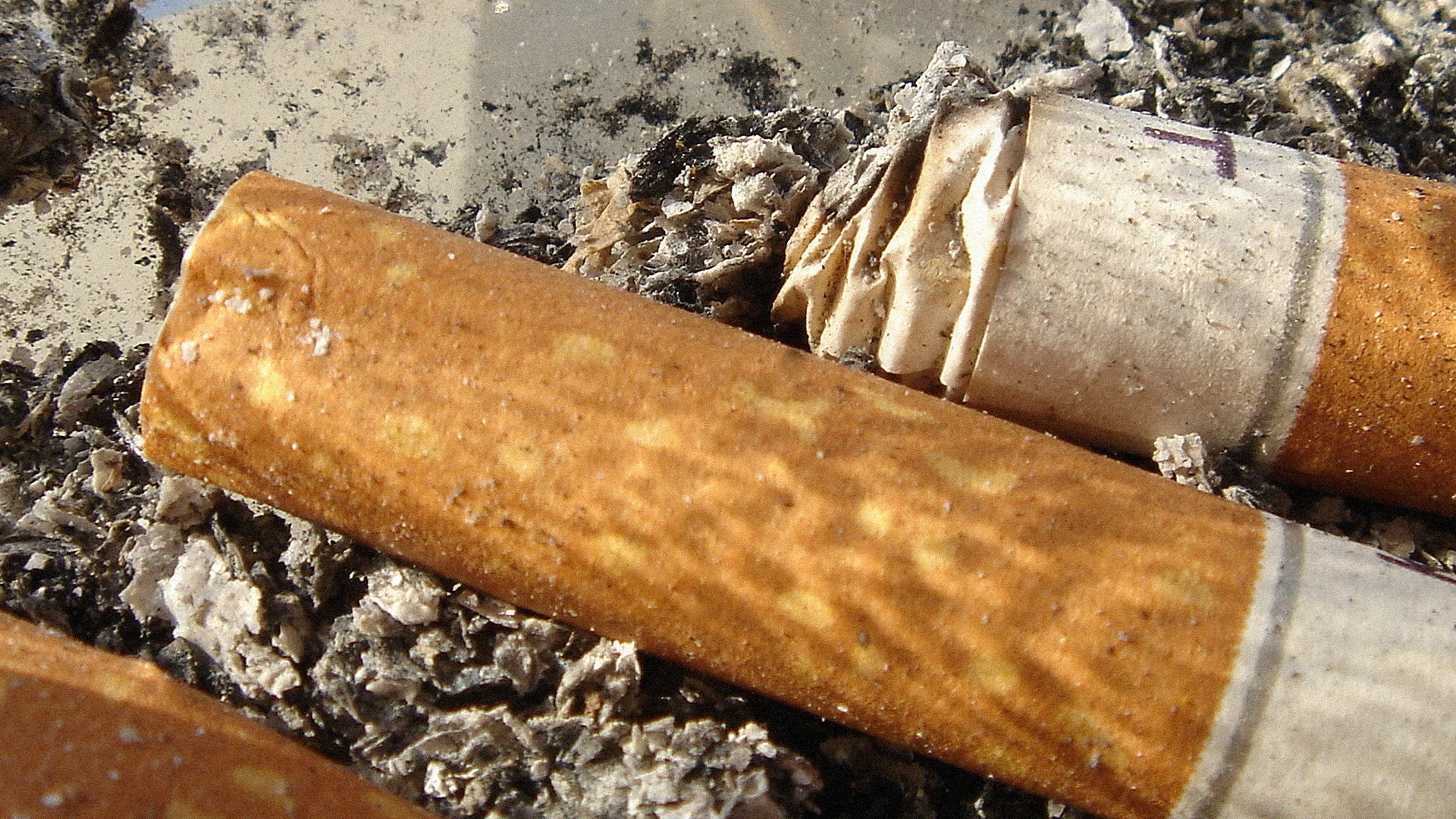 cigarette ends biodegradable A single butt may seem small, but the impact on our waterways and wildlife can be huge.  Cigarette filters are not and can take years to break down. Along Cigarette filters are single-use plastic,