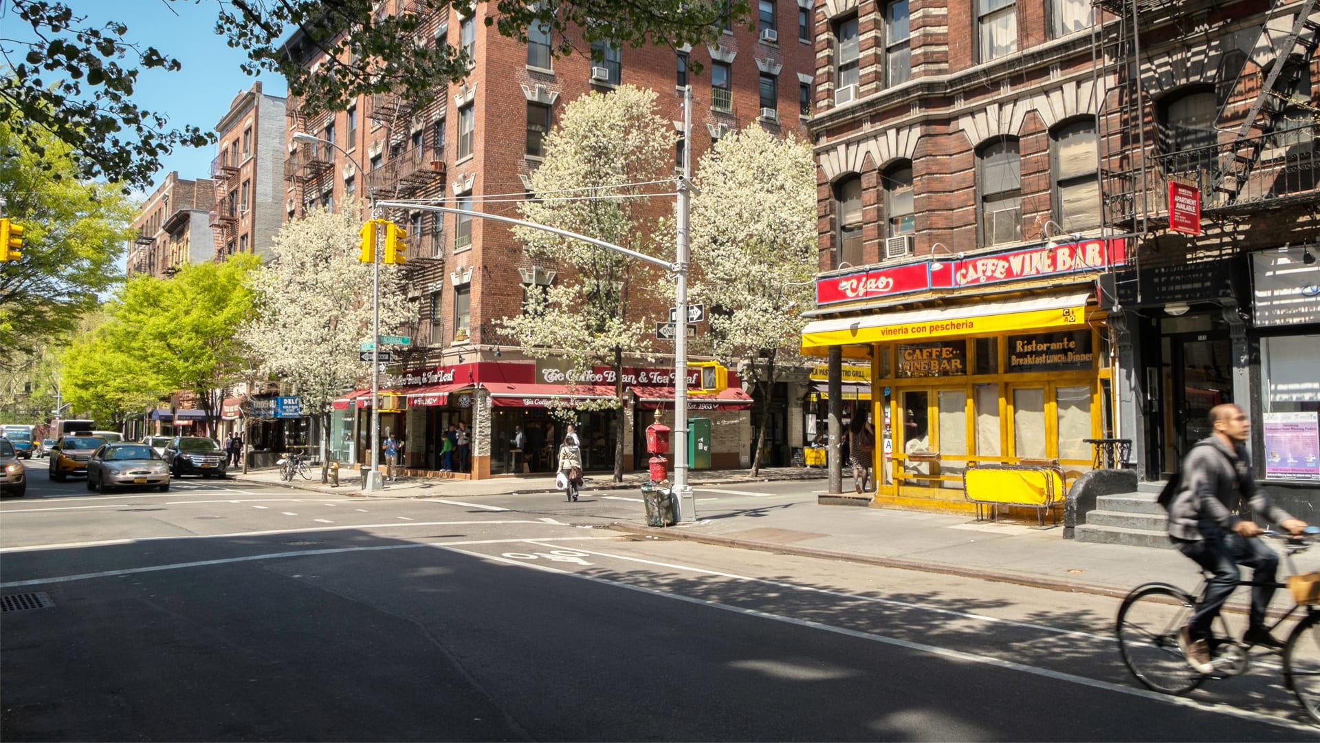 Living Near A Lot Of Trees Makes You Feel 7 Years Younger (And $10,000 Richer)