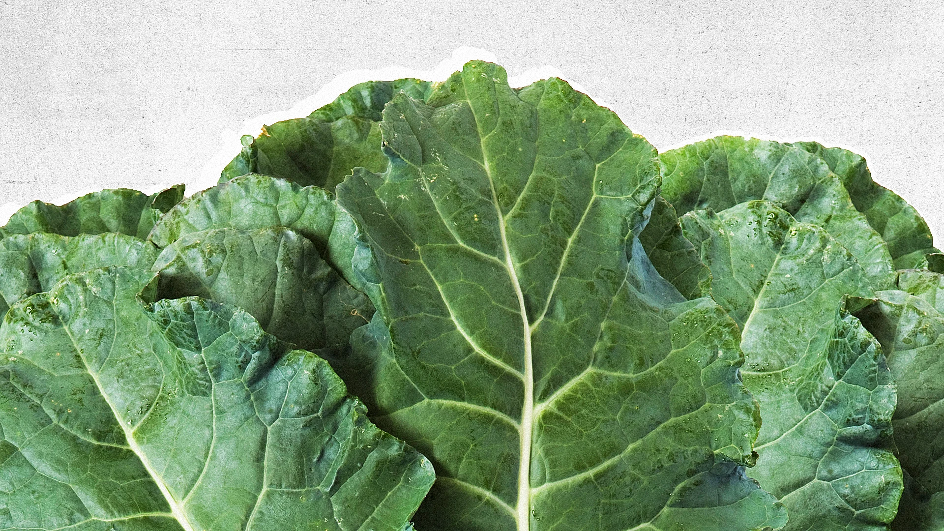 Is This Weird Vegetable Part Going To Be The Next Kale?