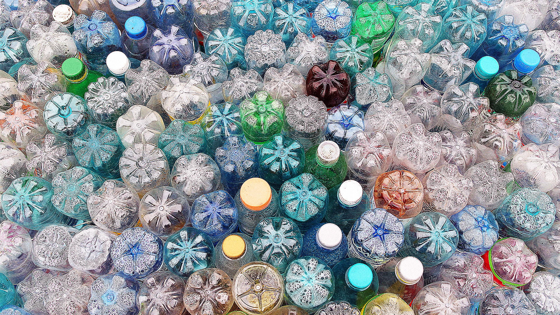 We Just Discovered Bacteria That Can Eat Our Plastic