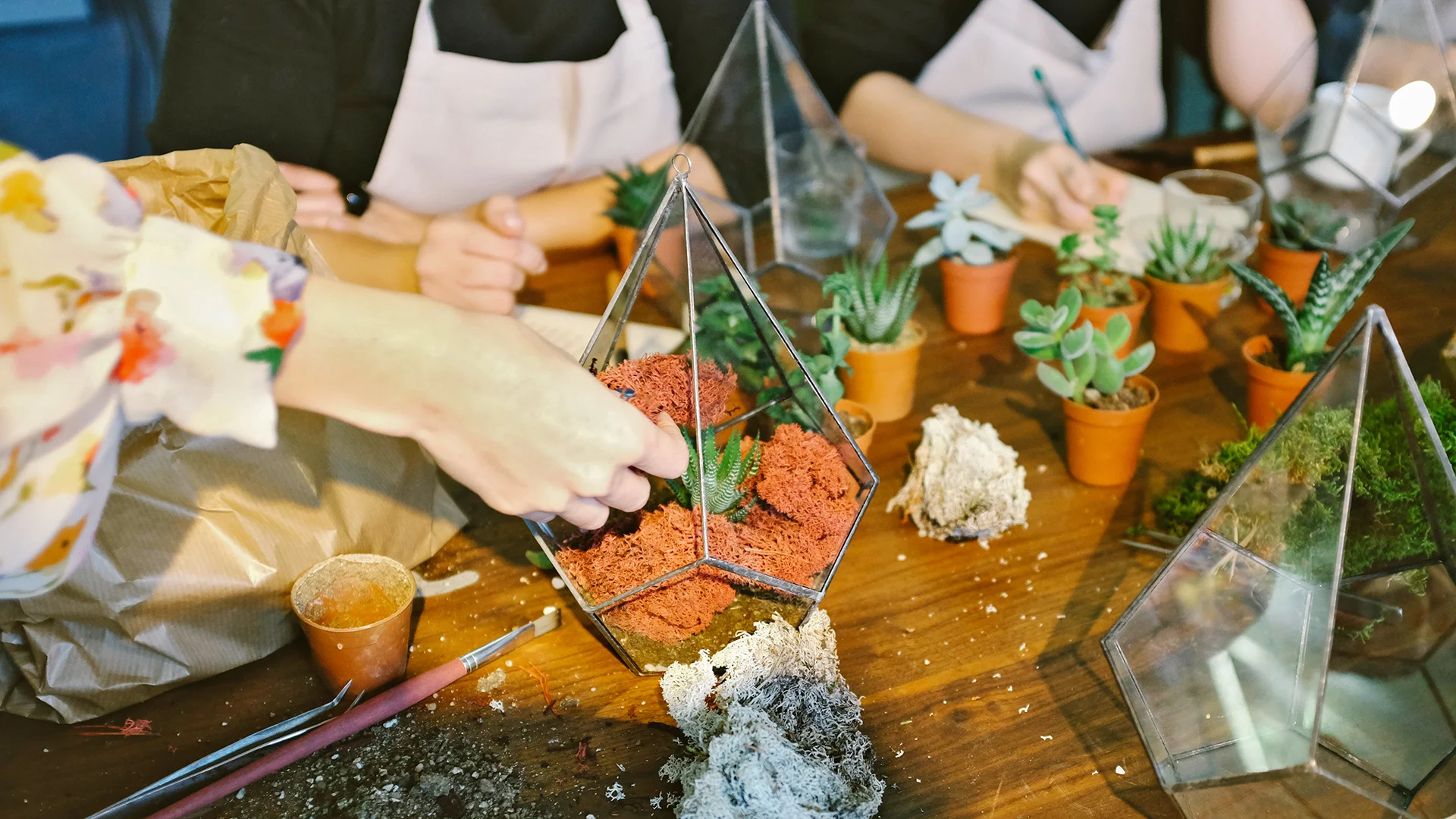 How To Plant An Urban Garden: A Step-By-Step Tutorial - Fast Company