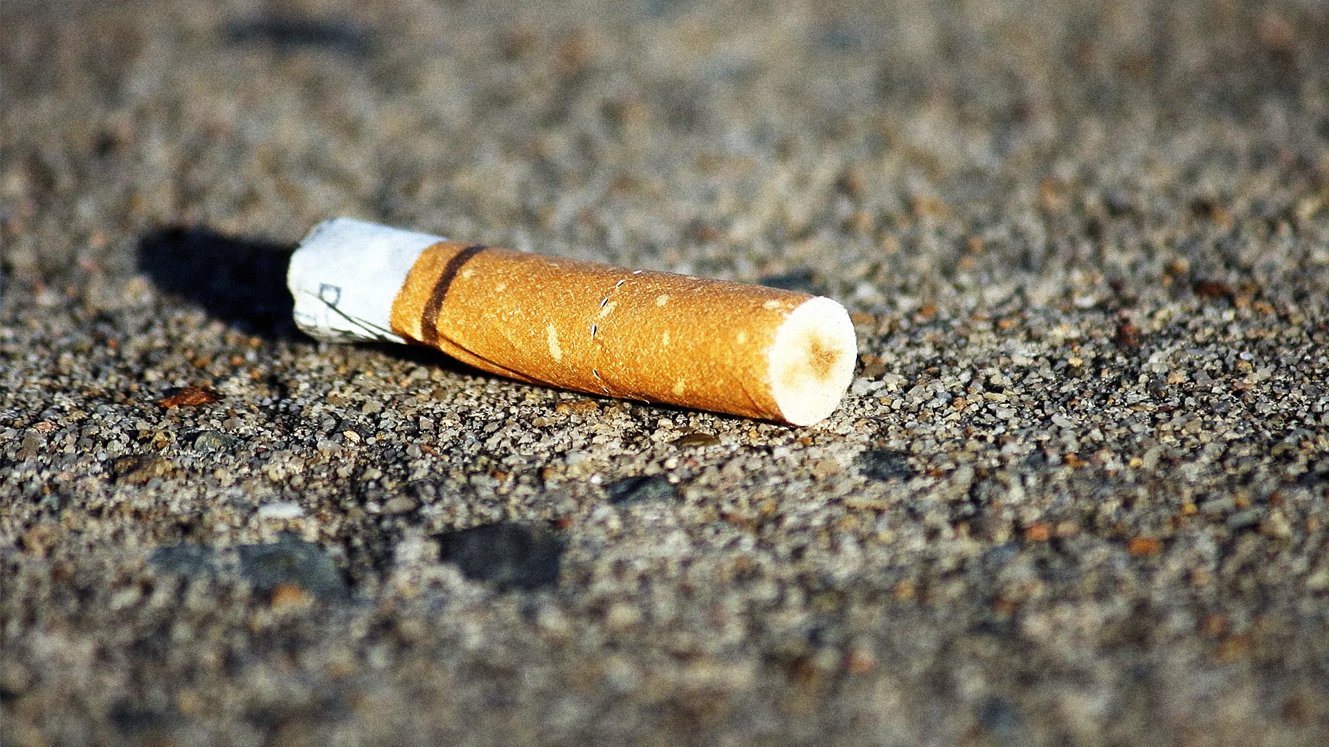 why do they smoke cigarettes in the leftovers Cigarette Smokers Are In Denial About Their Butts
