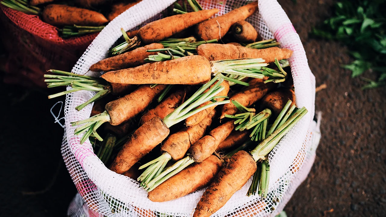 Bribing Your Kids To Eat Their Veggies Pays Off In The Long Term - Fast ...