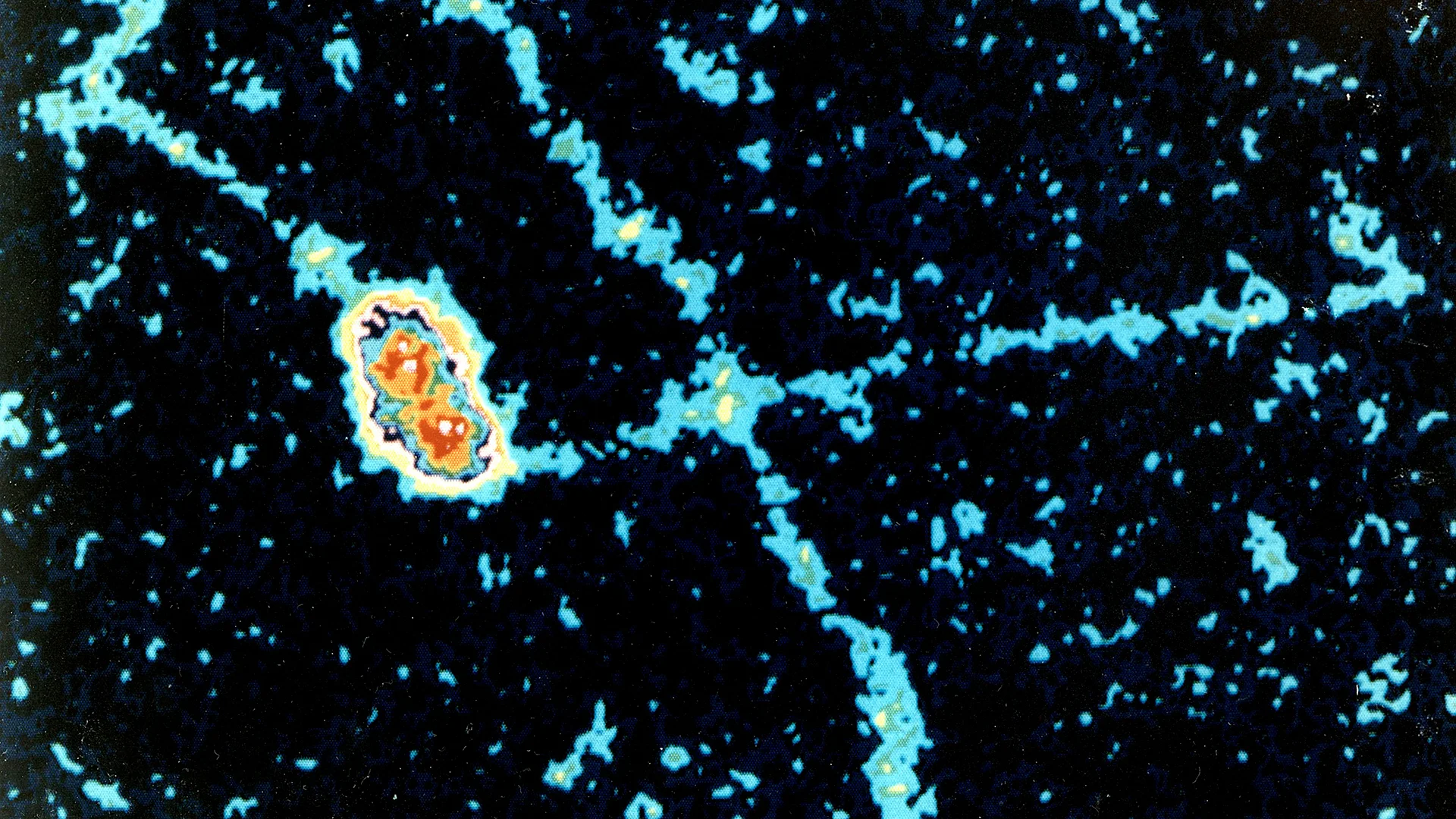 Five Tiny Ways Nanoscience Will Change Our Lives - Fast Company