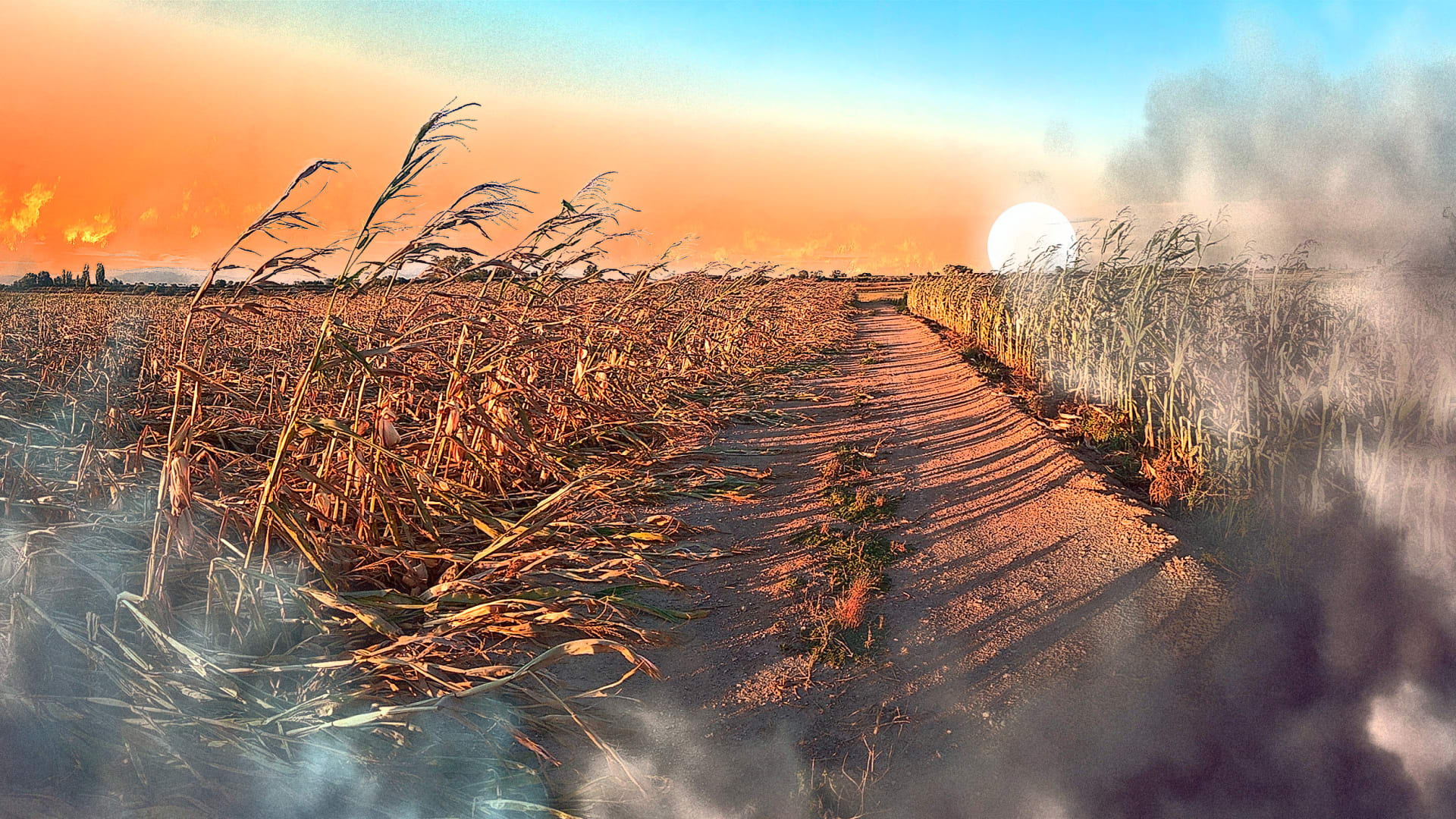 Stop Saying Climate Change Will Destroy The World The Truth Is Far