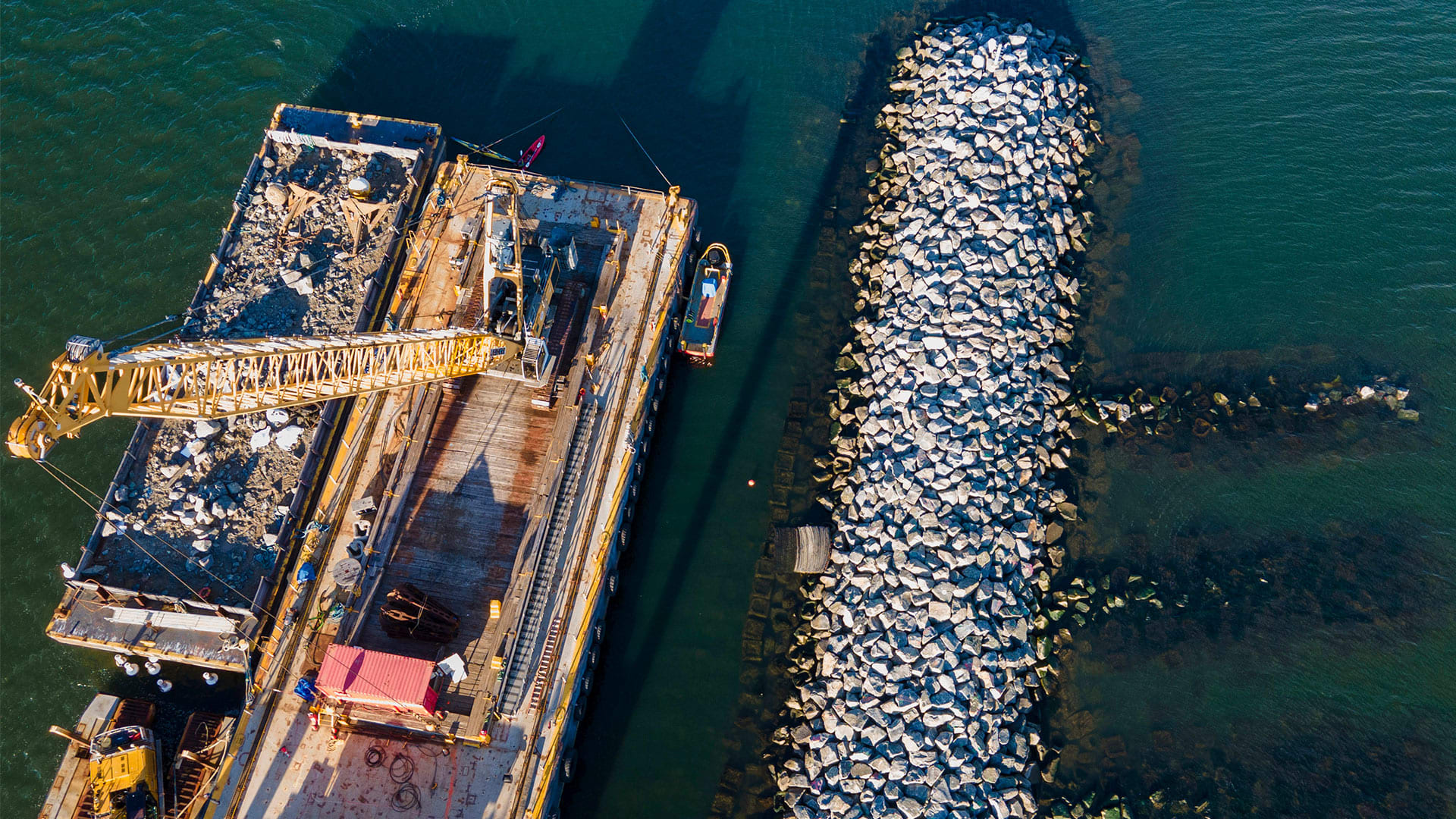 How these artificial reefs in New York City may offer protection from future storms