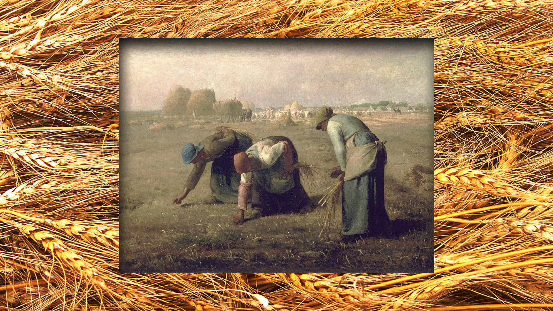 How this ancient practice could fight modern food waste - Fast Company, image size:1920x1080