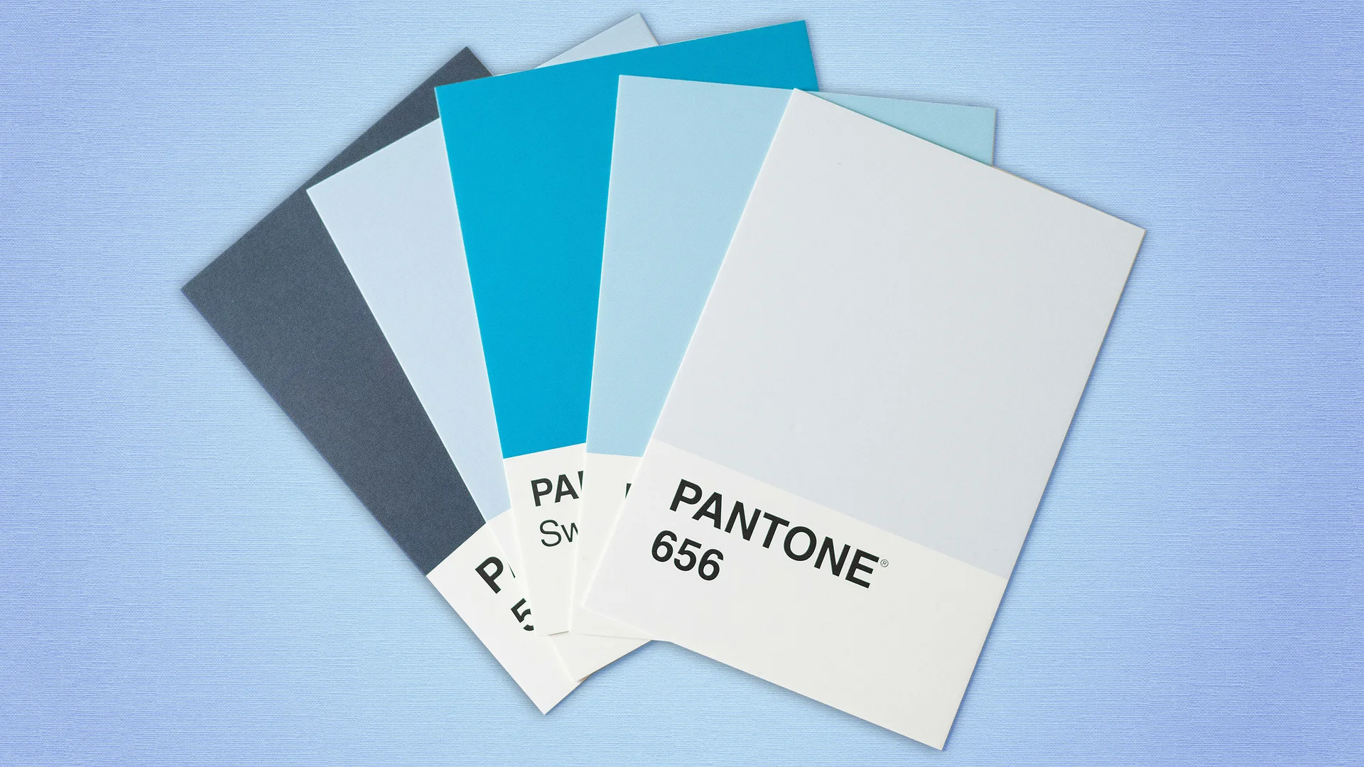 Are colors objective? These philosophers think so - Fast Company