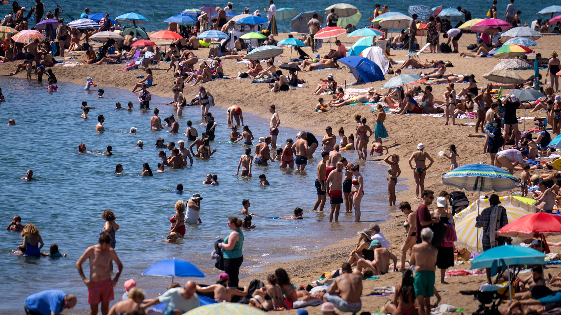 How extreme heat impacted 4 billion people in 2024 - Fast Company