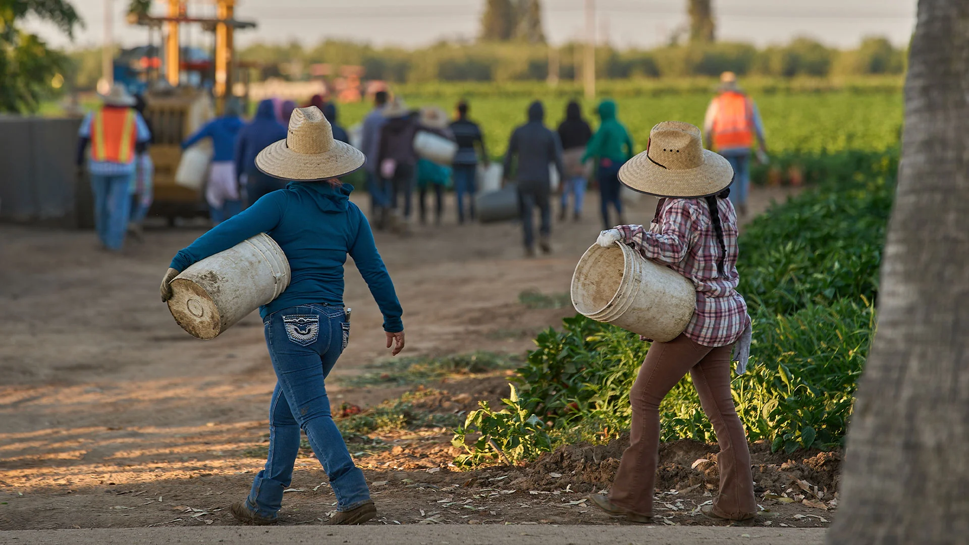 U.S. labor lost over 1.2 million immigrants, says Census Bureau - Fast ...