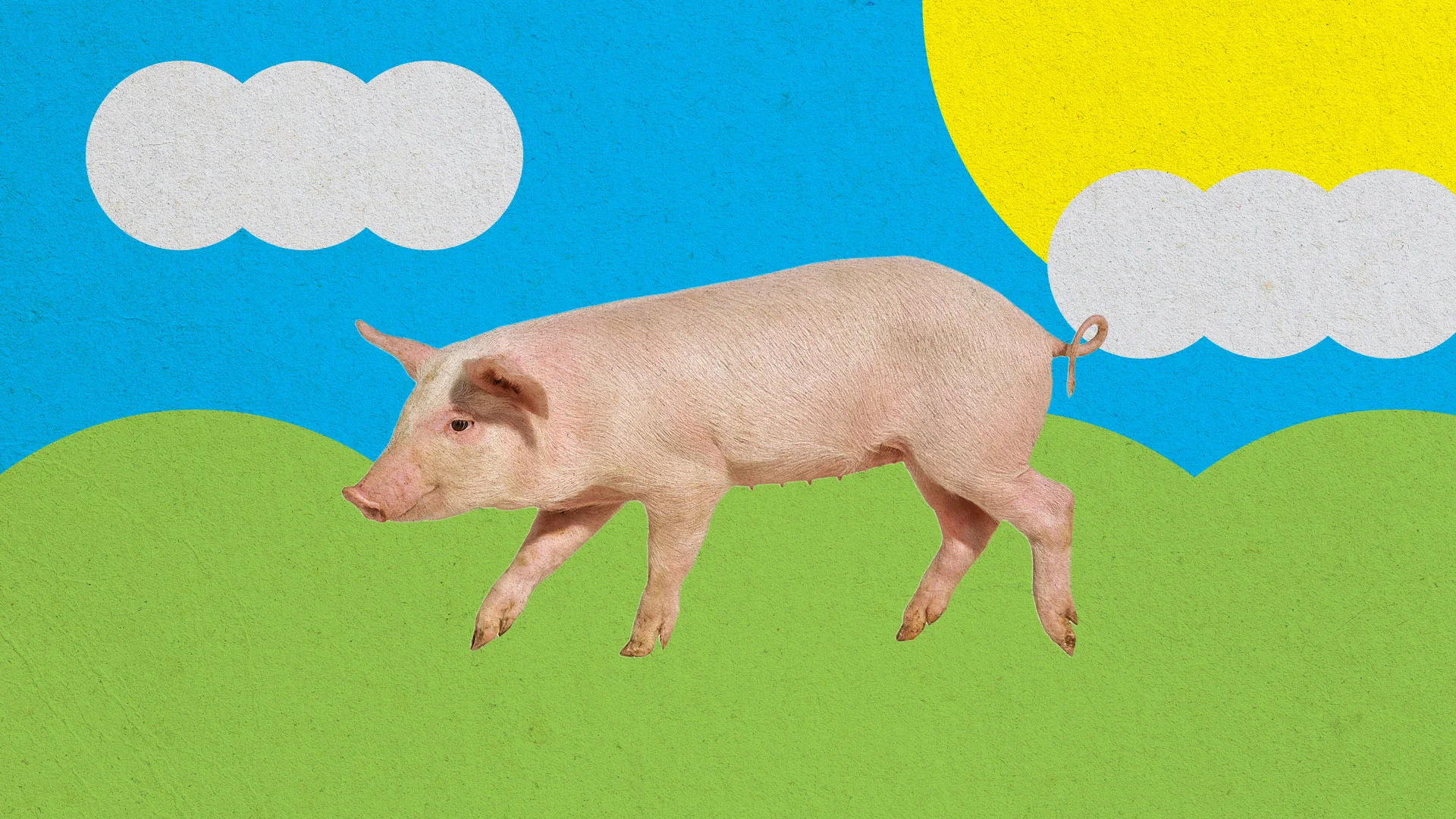 jennifer jacobs quiet piggy Image 9