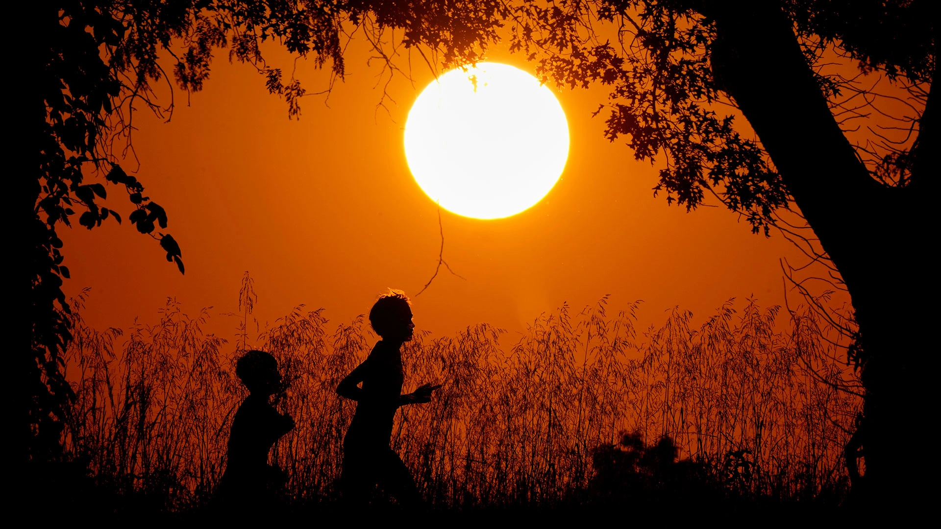 Pronunciation of U and Ü intelligence overview