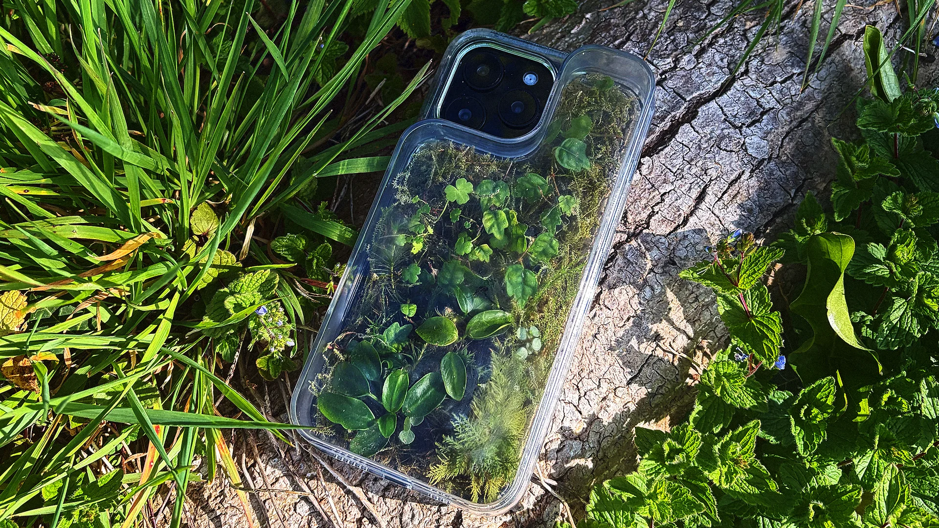 This terrarium phone case is on a mission to reduce your screen time - Fast Company This terrarium phone case is on a mission to reduce your screen time - Fast Company