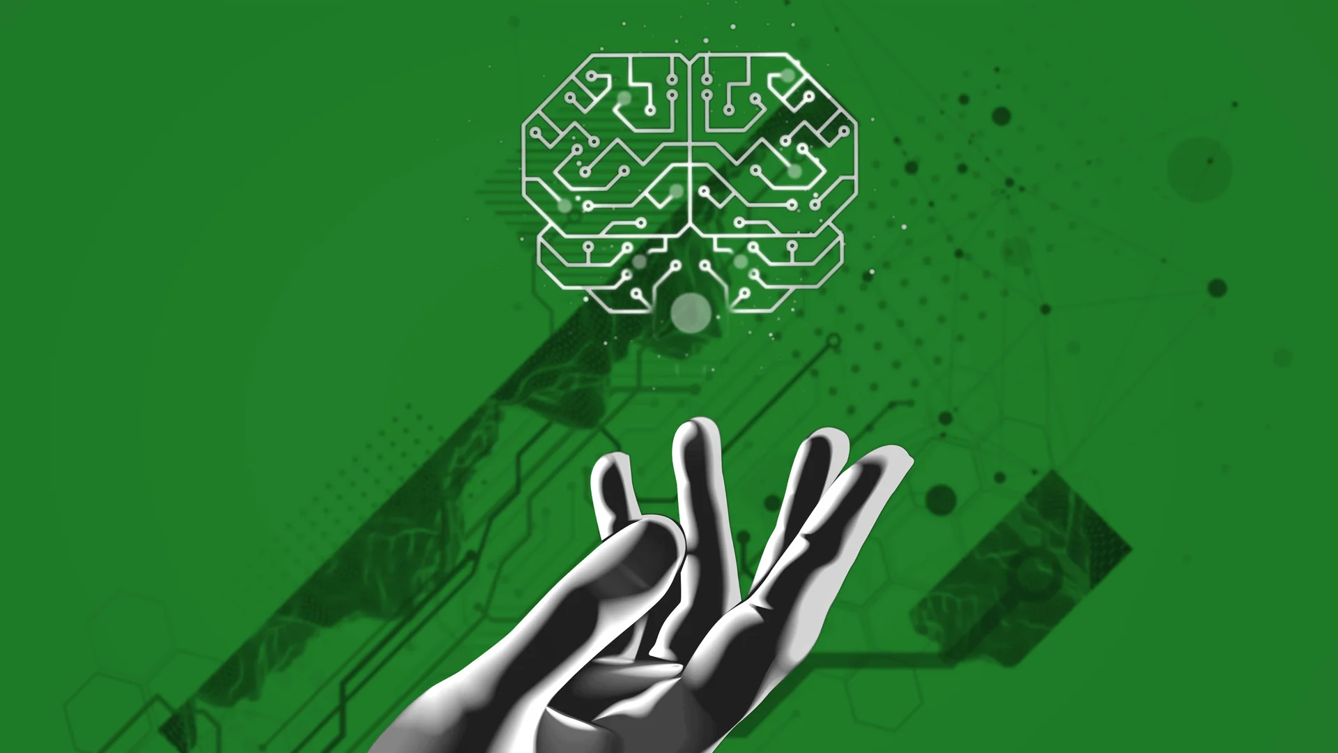 You know OpenAI and Nvidia. These are the AI companies building everything else