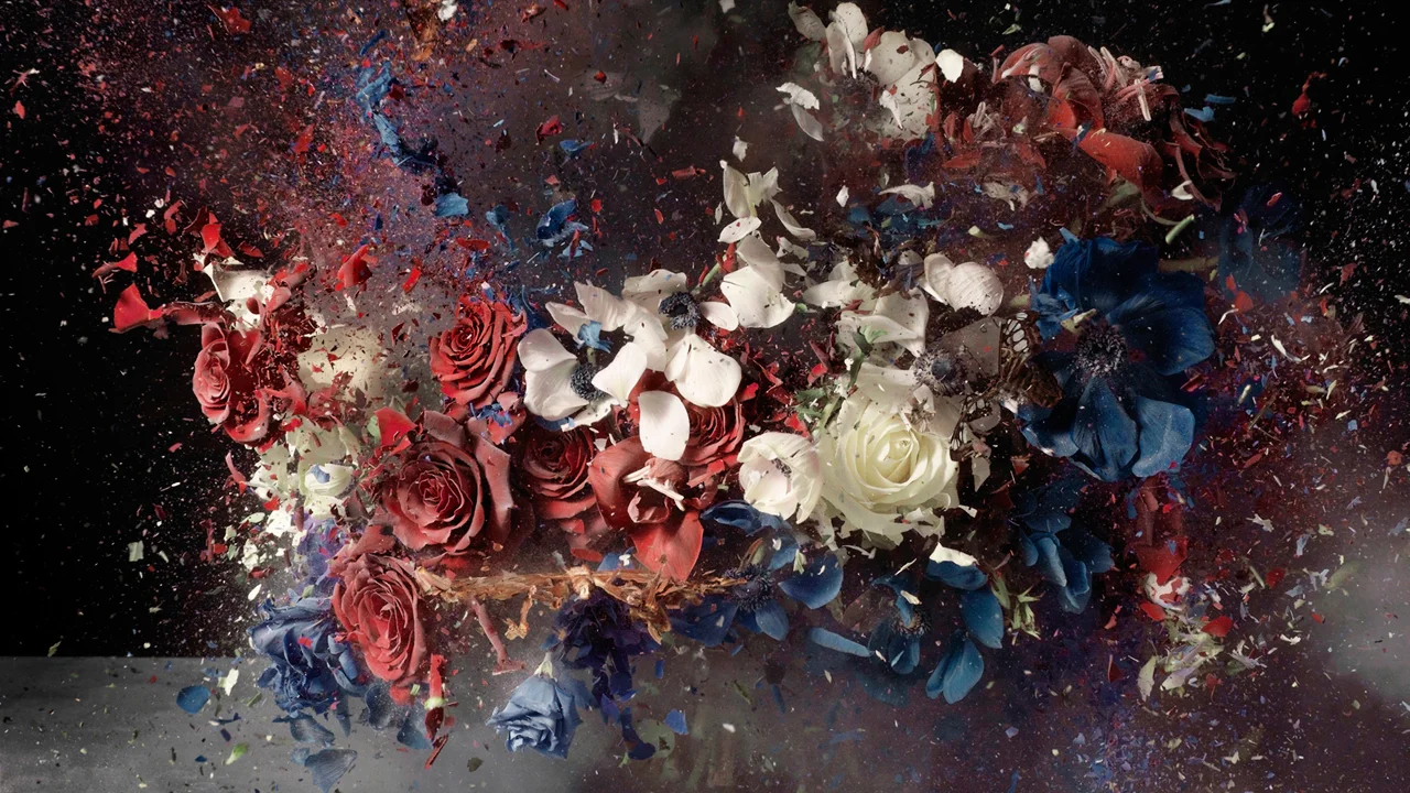 I Bought You These Flowers, But They Exploded In The Most Amazing Way ...
