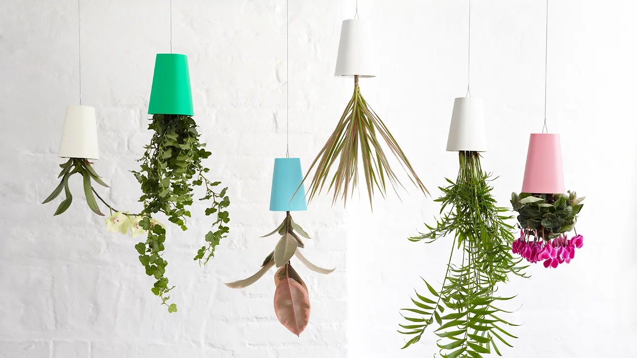 A Planter That Turns Indoor Gardening Upside-Down - Fast Company