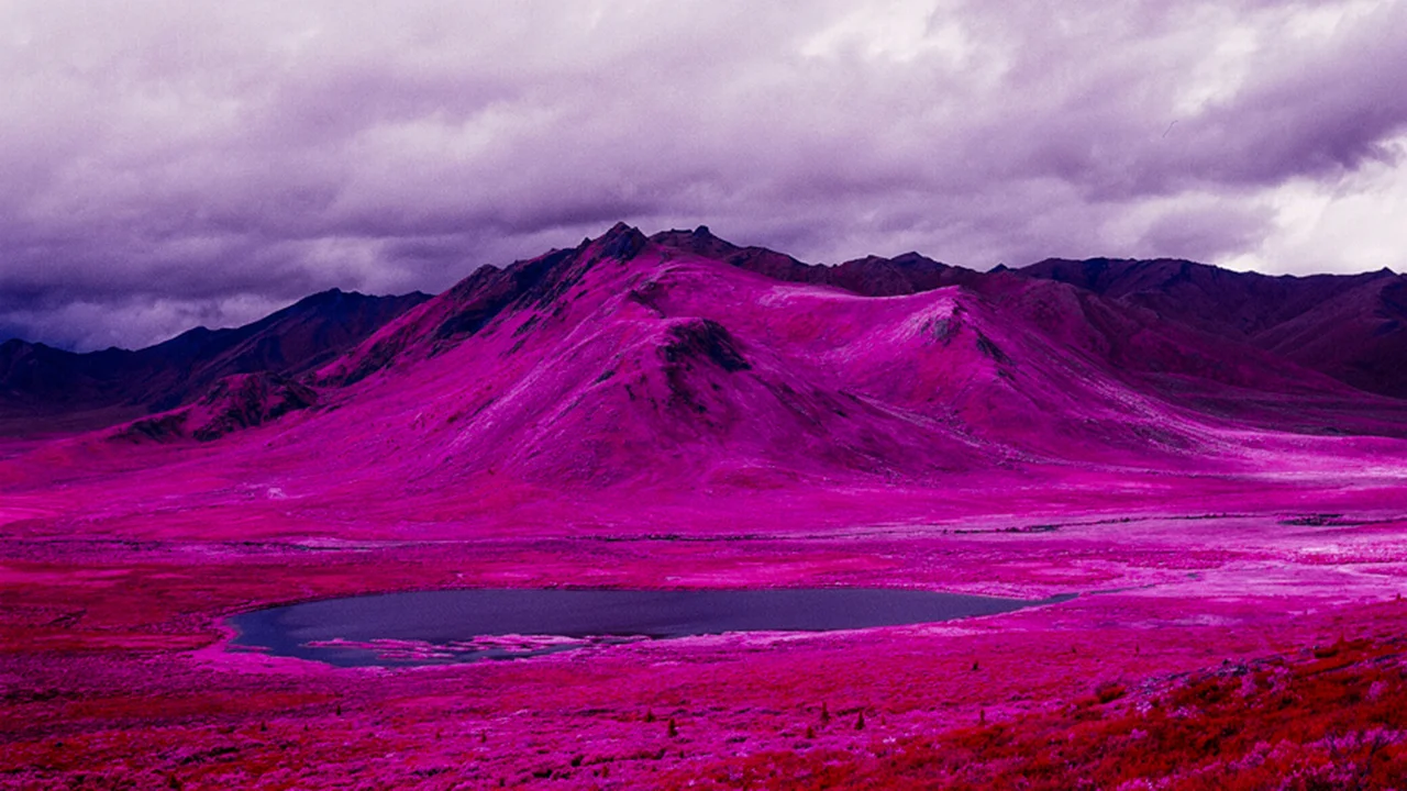 richard mosse photography