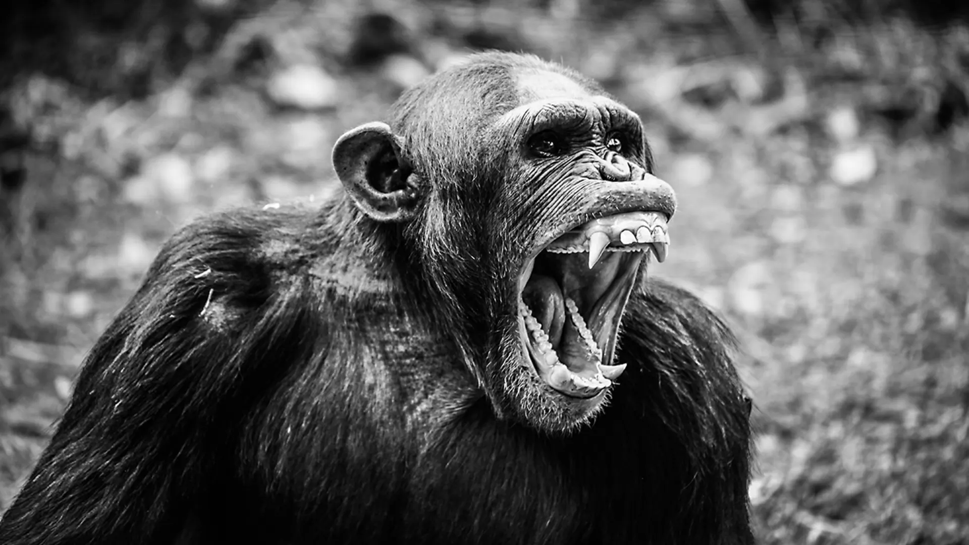 Four Ways To Tell What Your Voice Is Saying About You