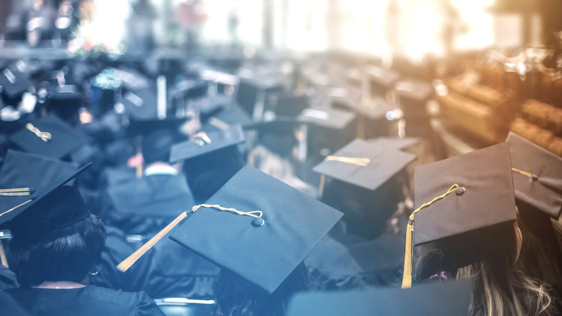 New Grads: Here's How To Discuss Your Classwork In Job Interviews ...