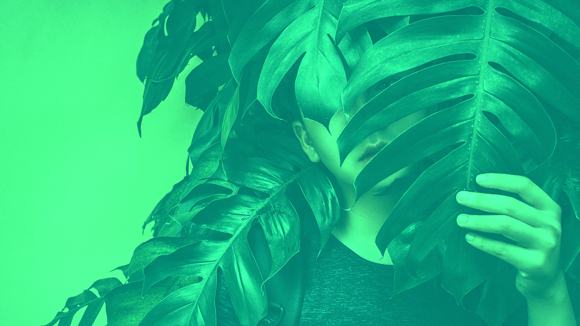 Fears Hindering Credibility