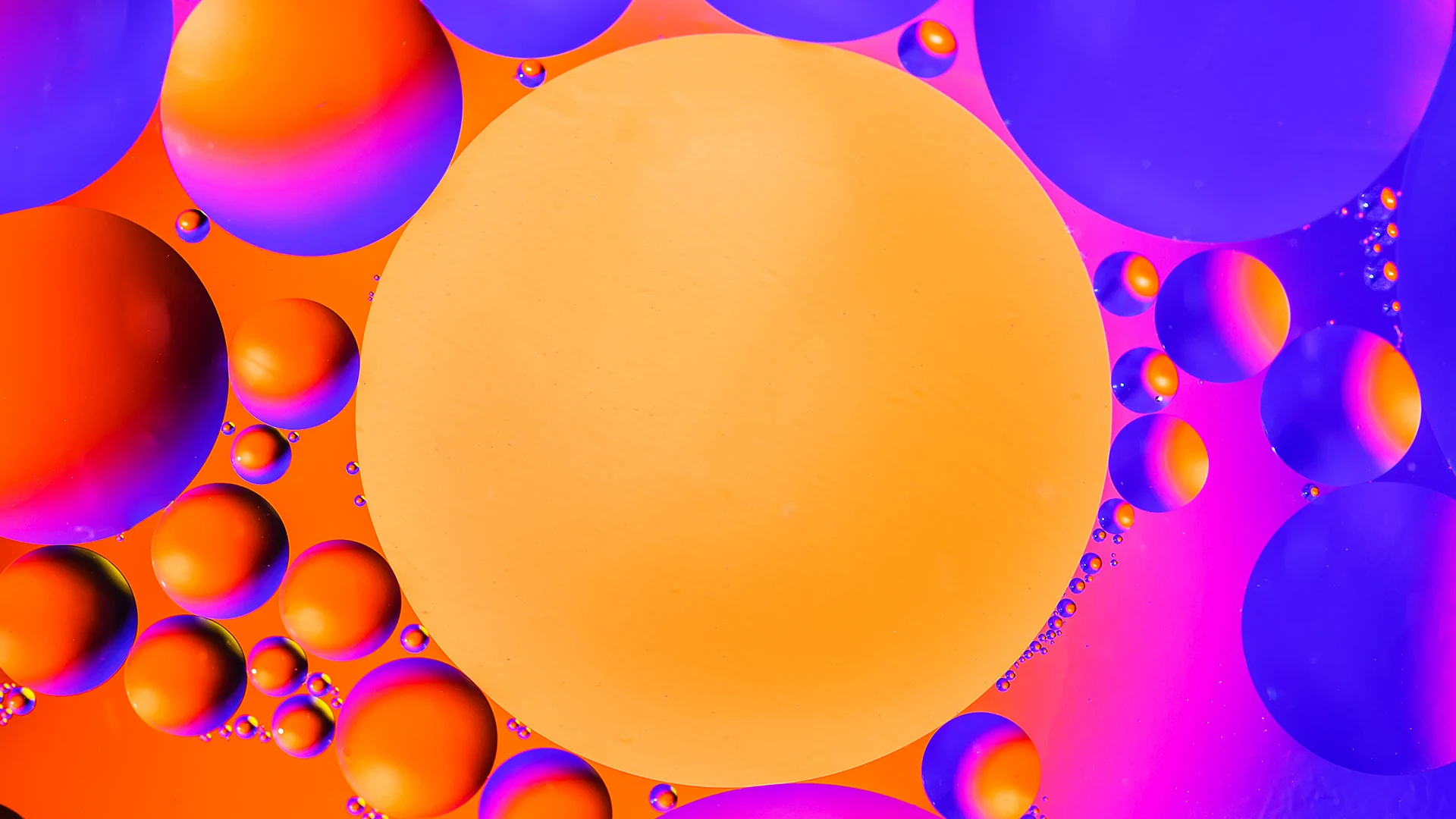 GuideStar and the Foundation Center are merging to form the definitive