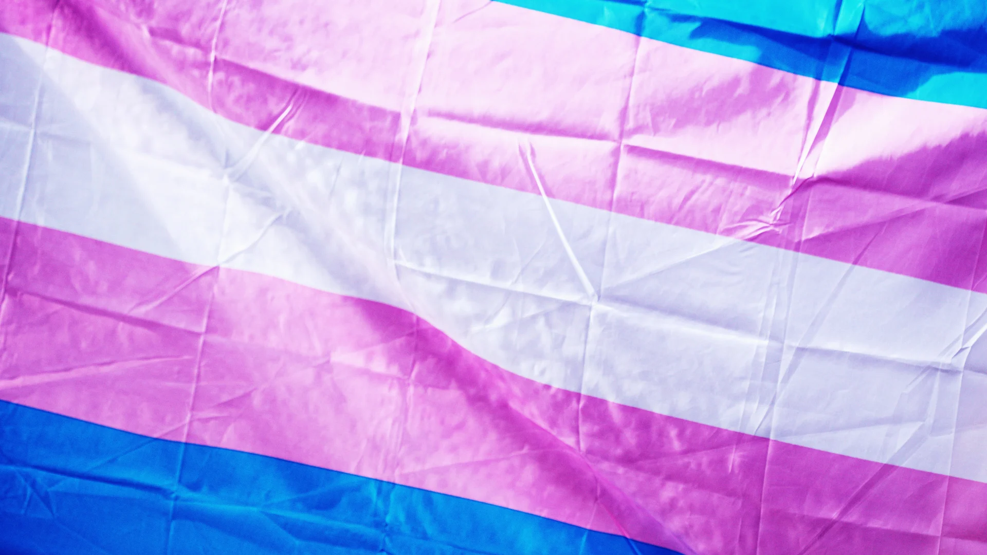 The Trump administration is canceling LGBTQ people on government websites