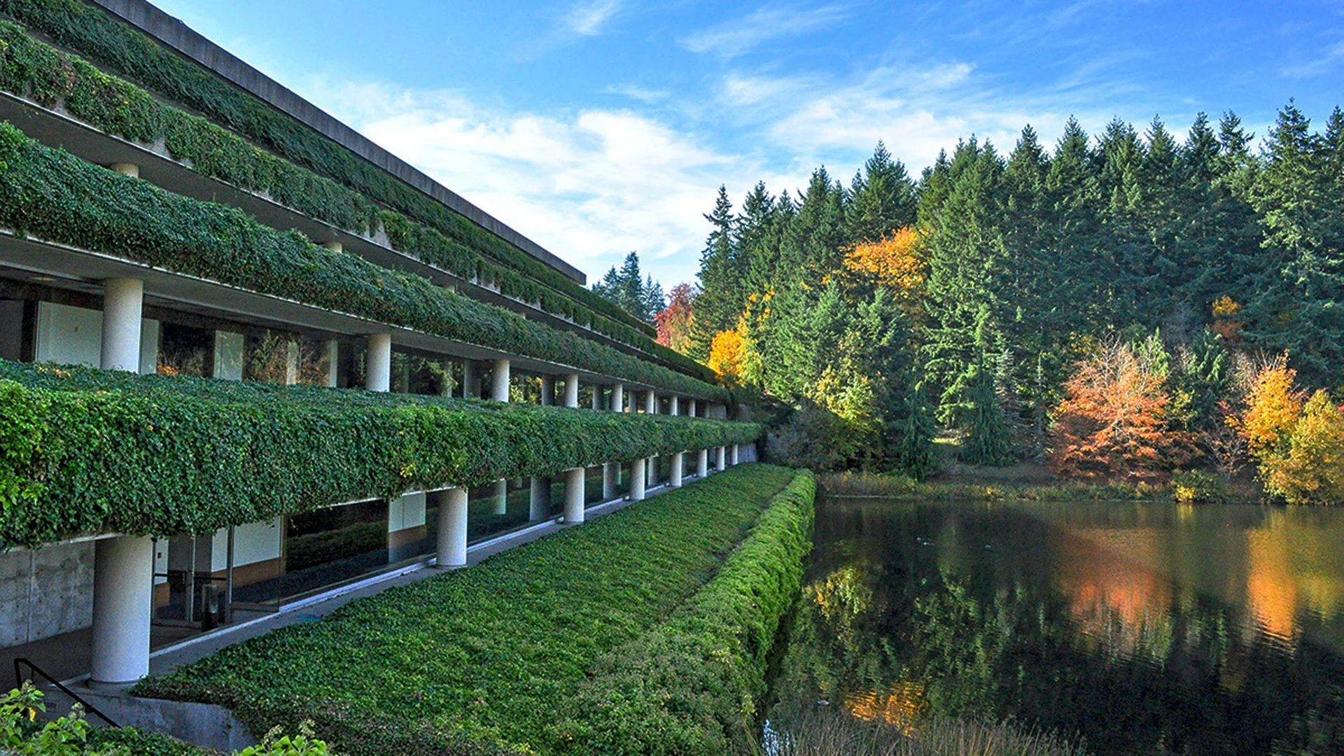 Weyerhaeuser Campus - Fast Company