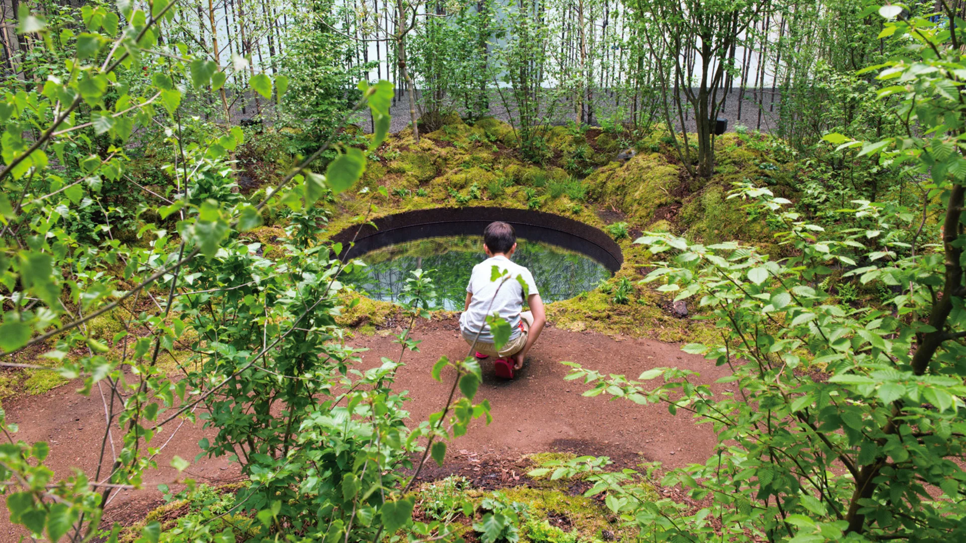 This haunting forest offers hope in the face of climate change