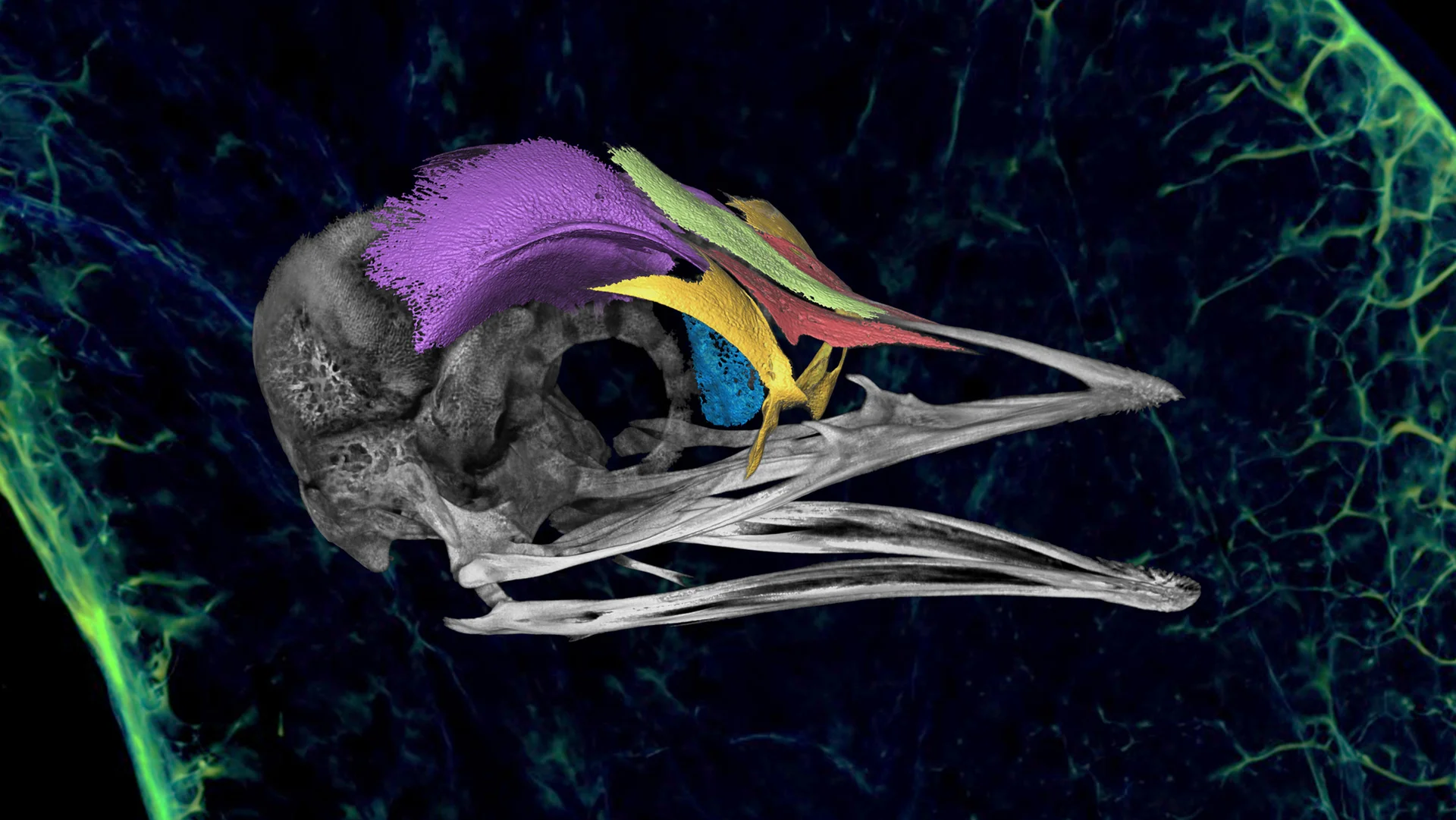 science photography ideas for students