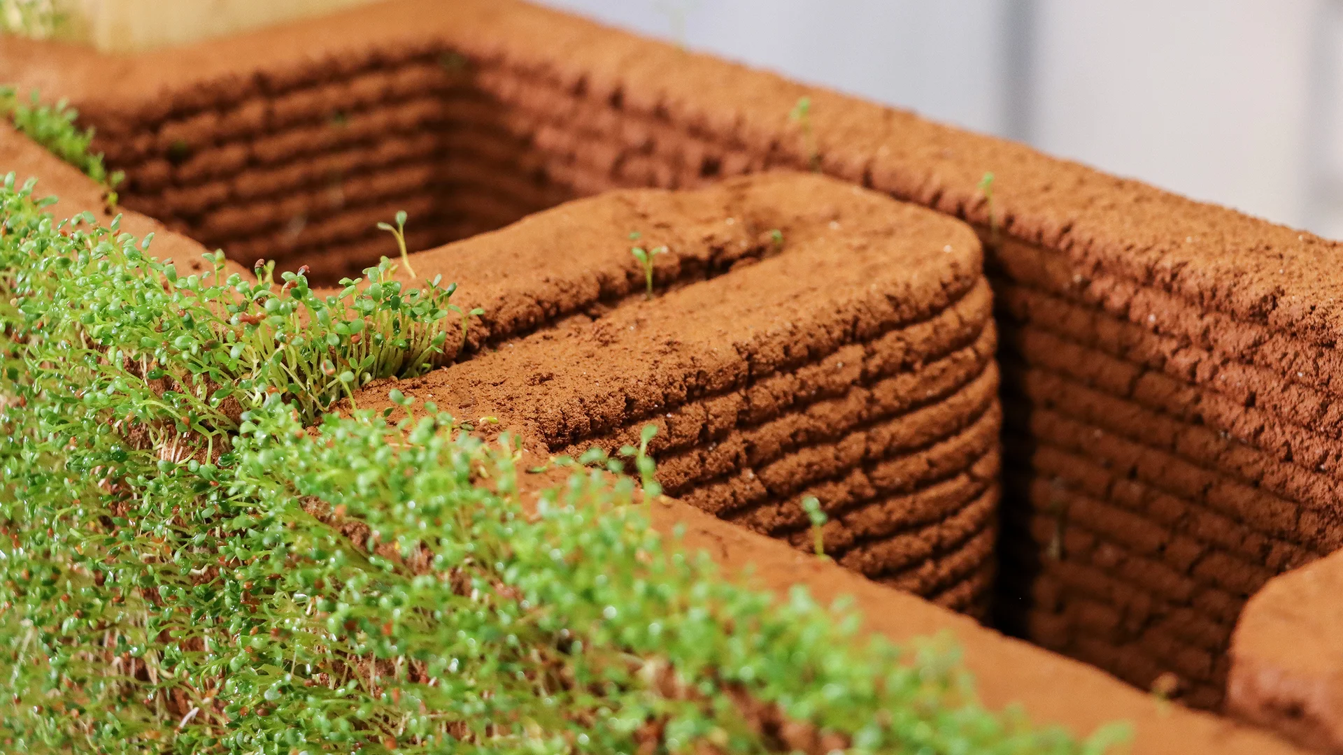 'Bioconstruction' will build homes out of flowering, 3D-printed dirt ...