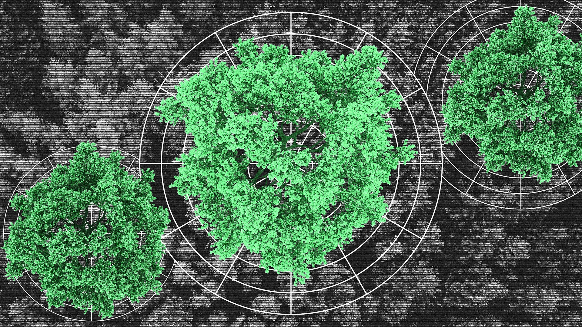 A NASA scientist designed a platform to track the carbon in every tree ...