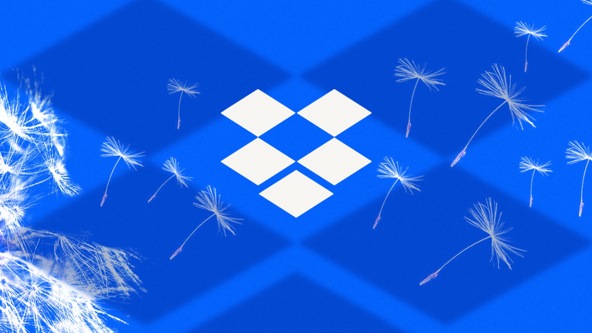 image of Dropbox, AI 전환에 따라 직원 20% 감원