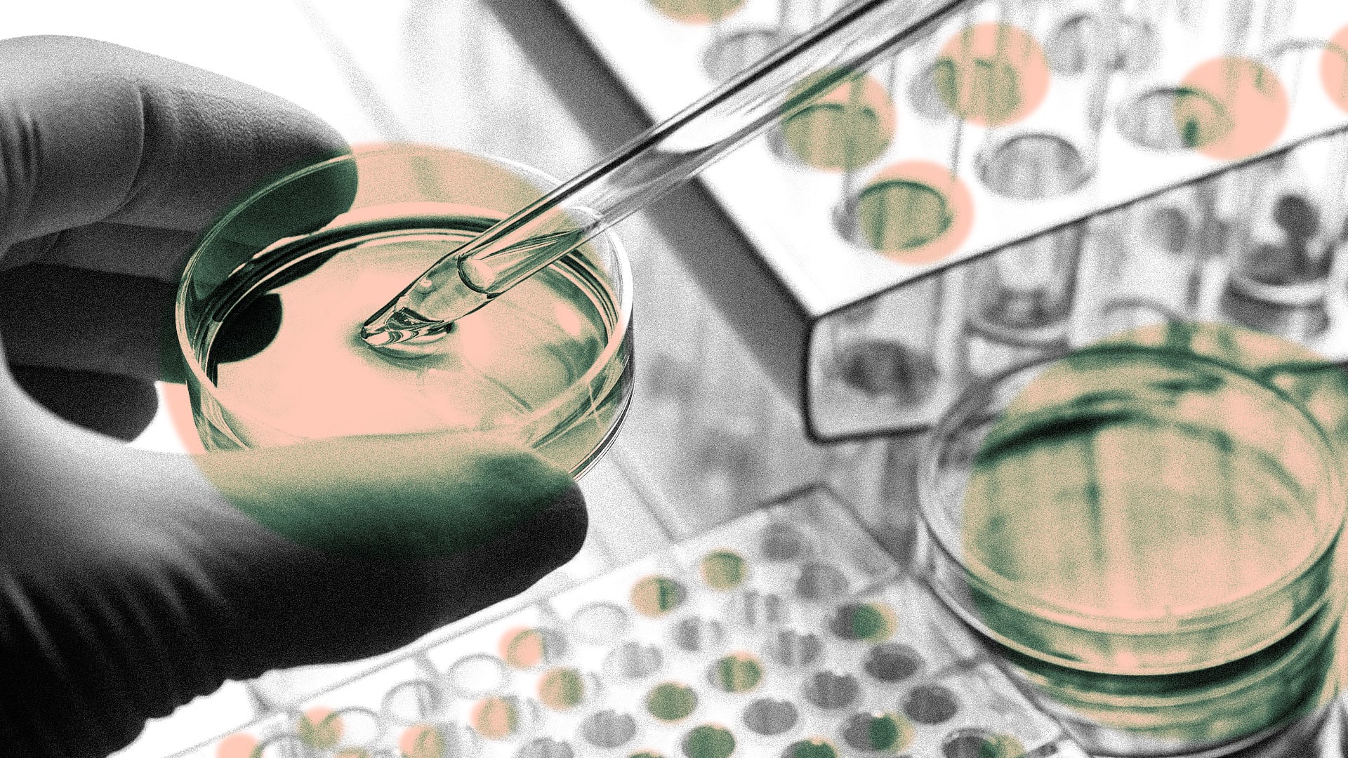 Perelel Prenatal Vitamins Donates 10 Million To Close Research Gaps perelel-prenatal-vitamins-donates-10-million-to-close-research-gaps