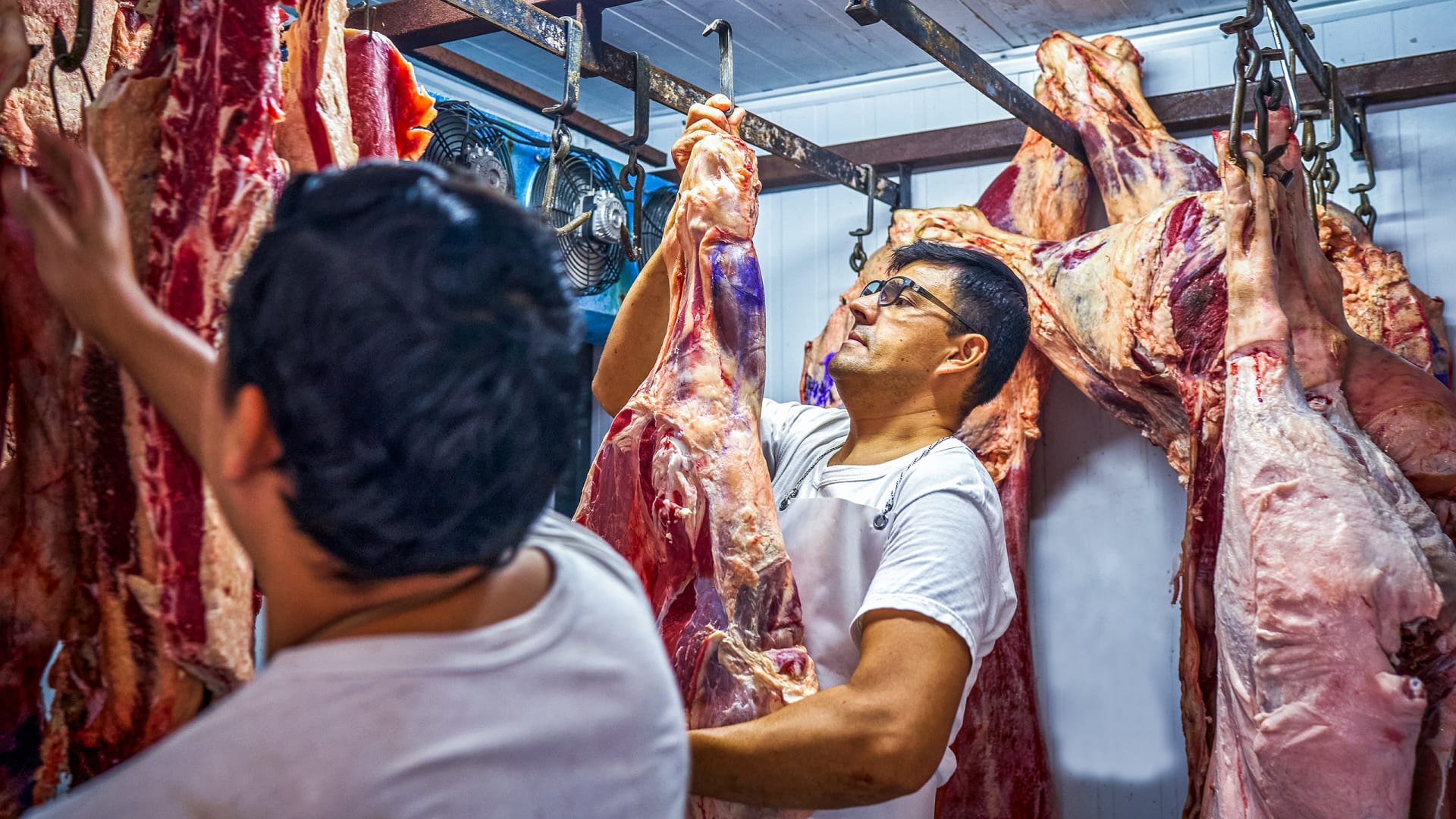 Carbon neutral beef certification in Argentina could reduce greenhouse gas